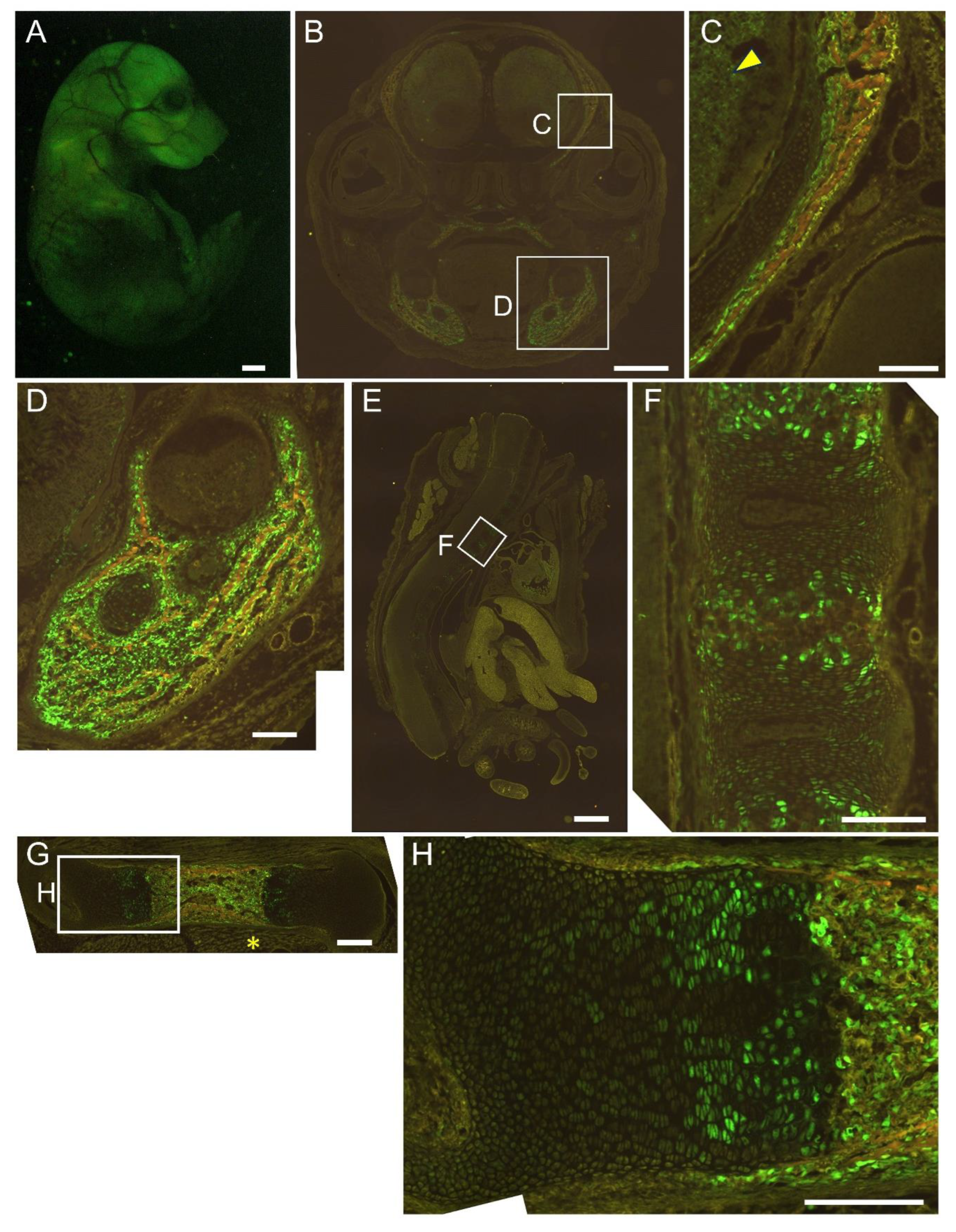 Preprints 144898 g007
