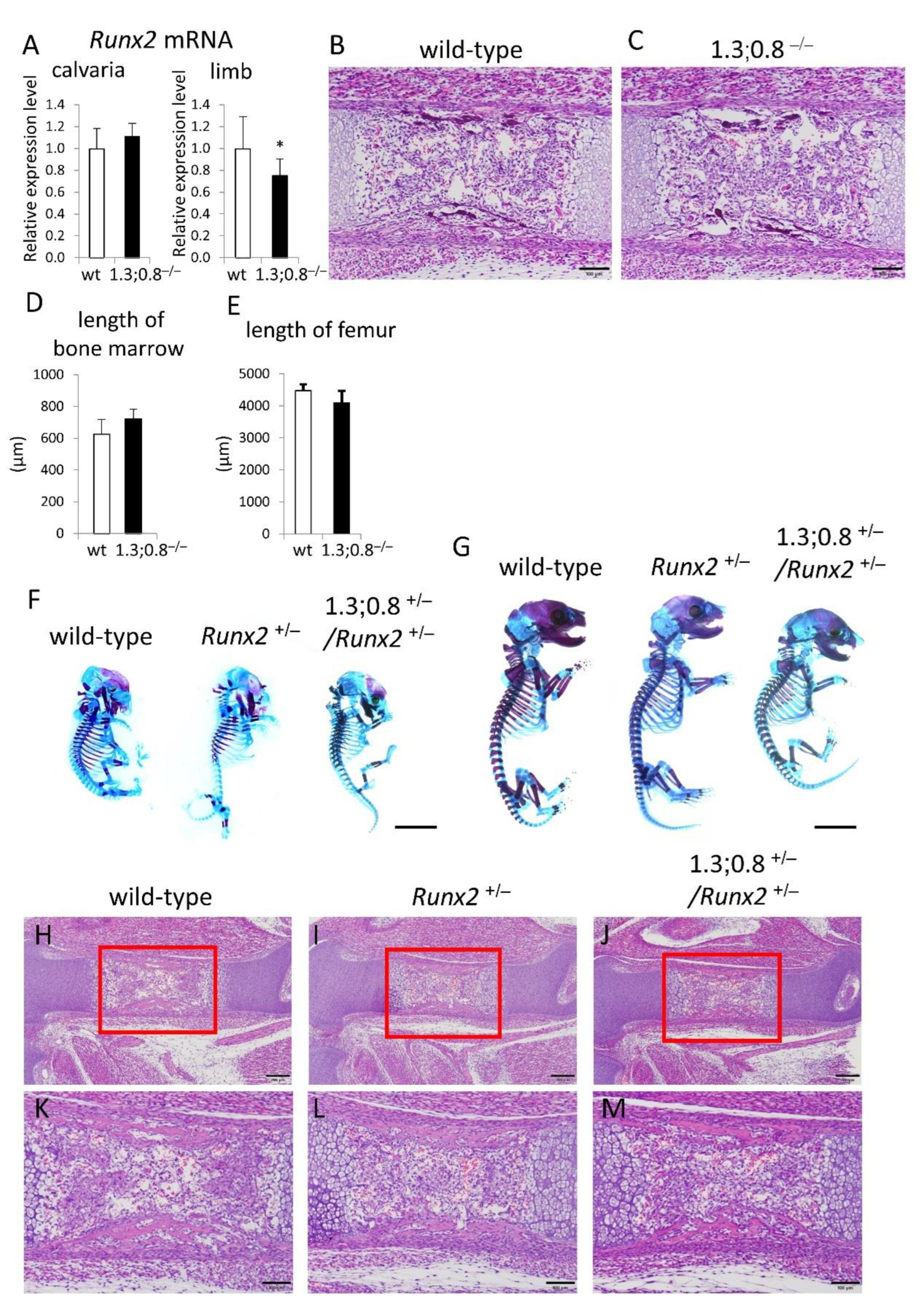 Preprints 144898 g008