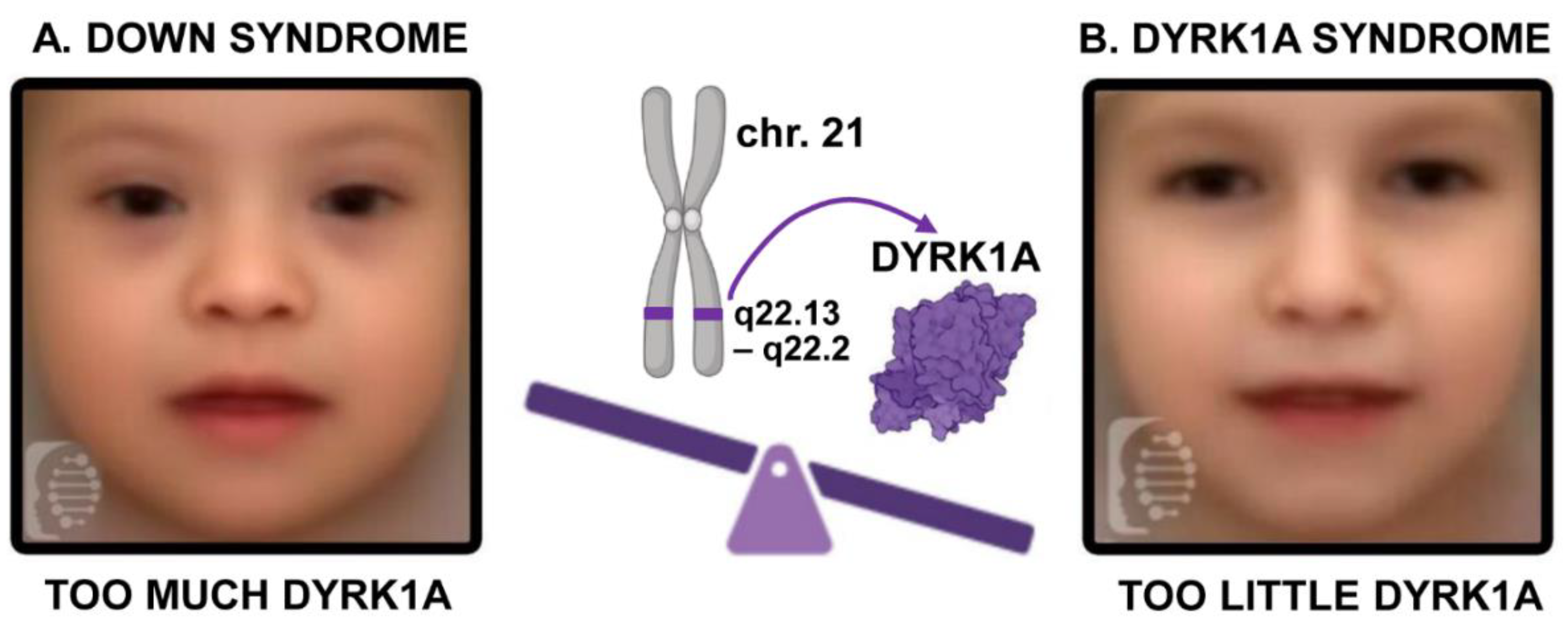 Preprints 155707 g001