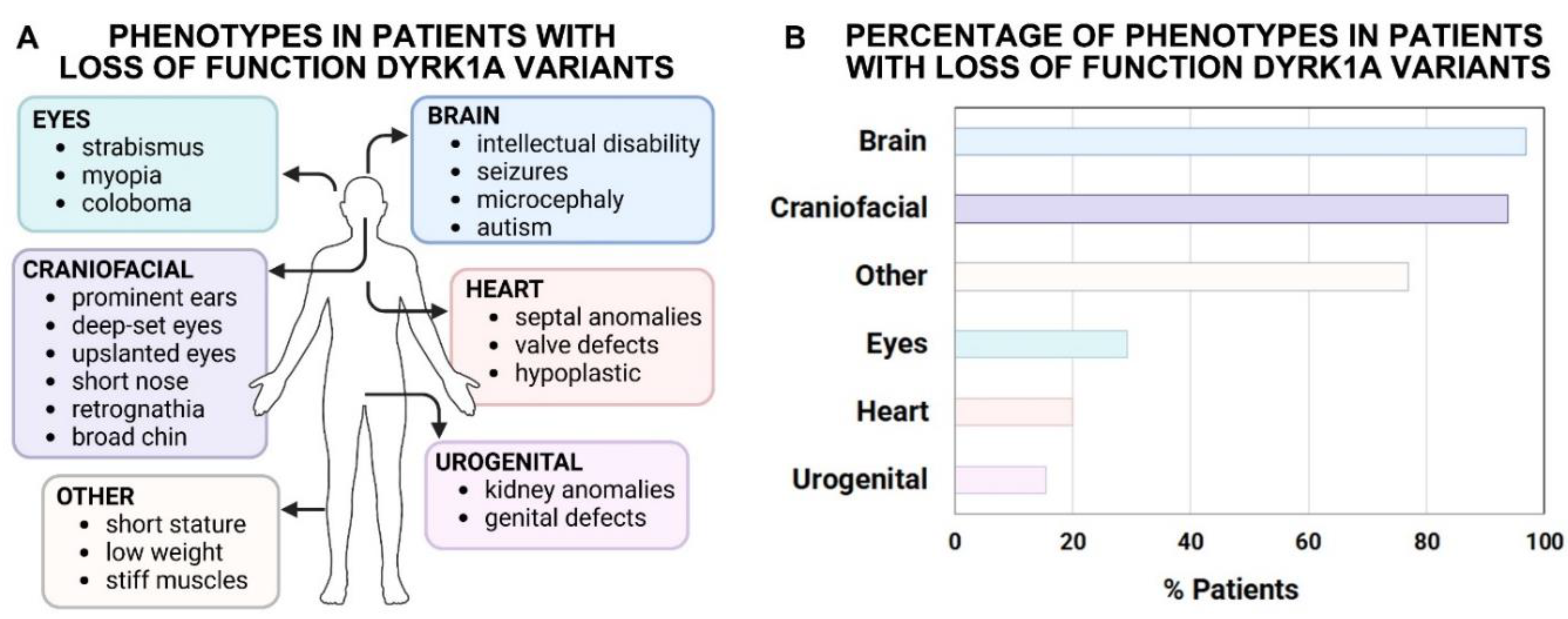 Preprints 155707 g002