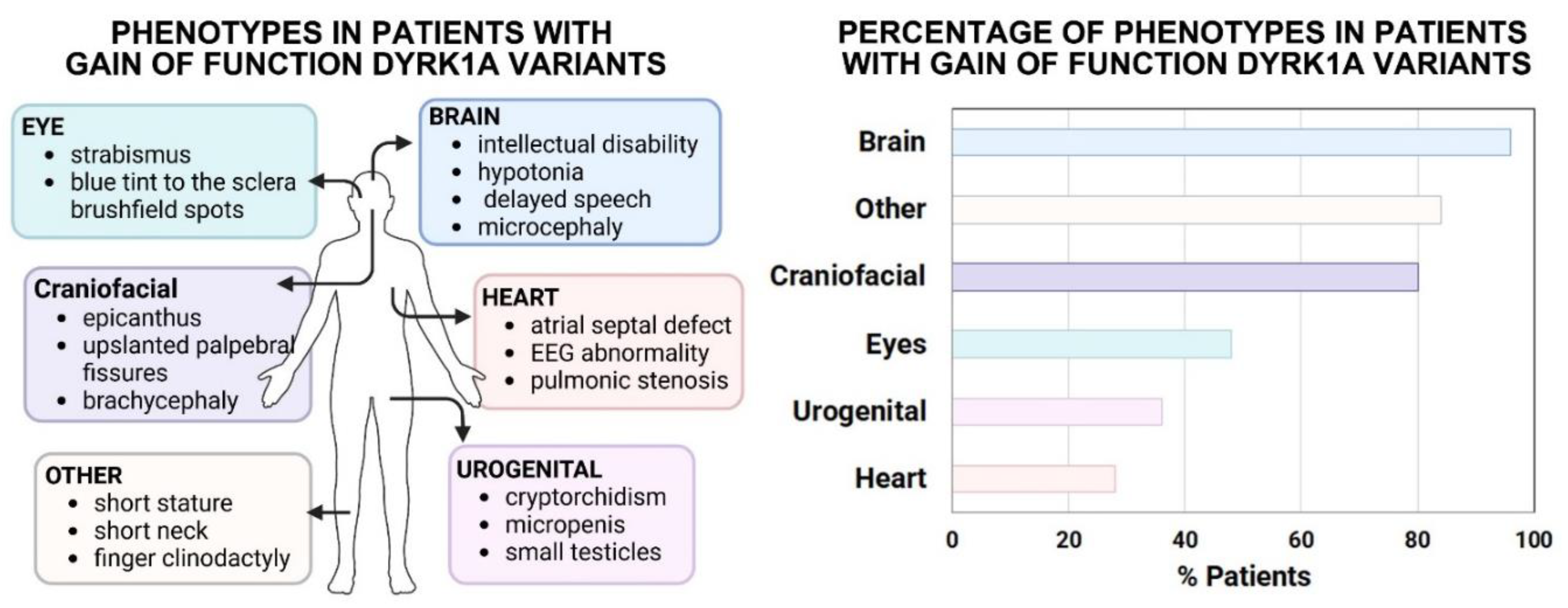 Preprints 155707 g004