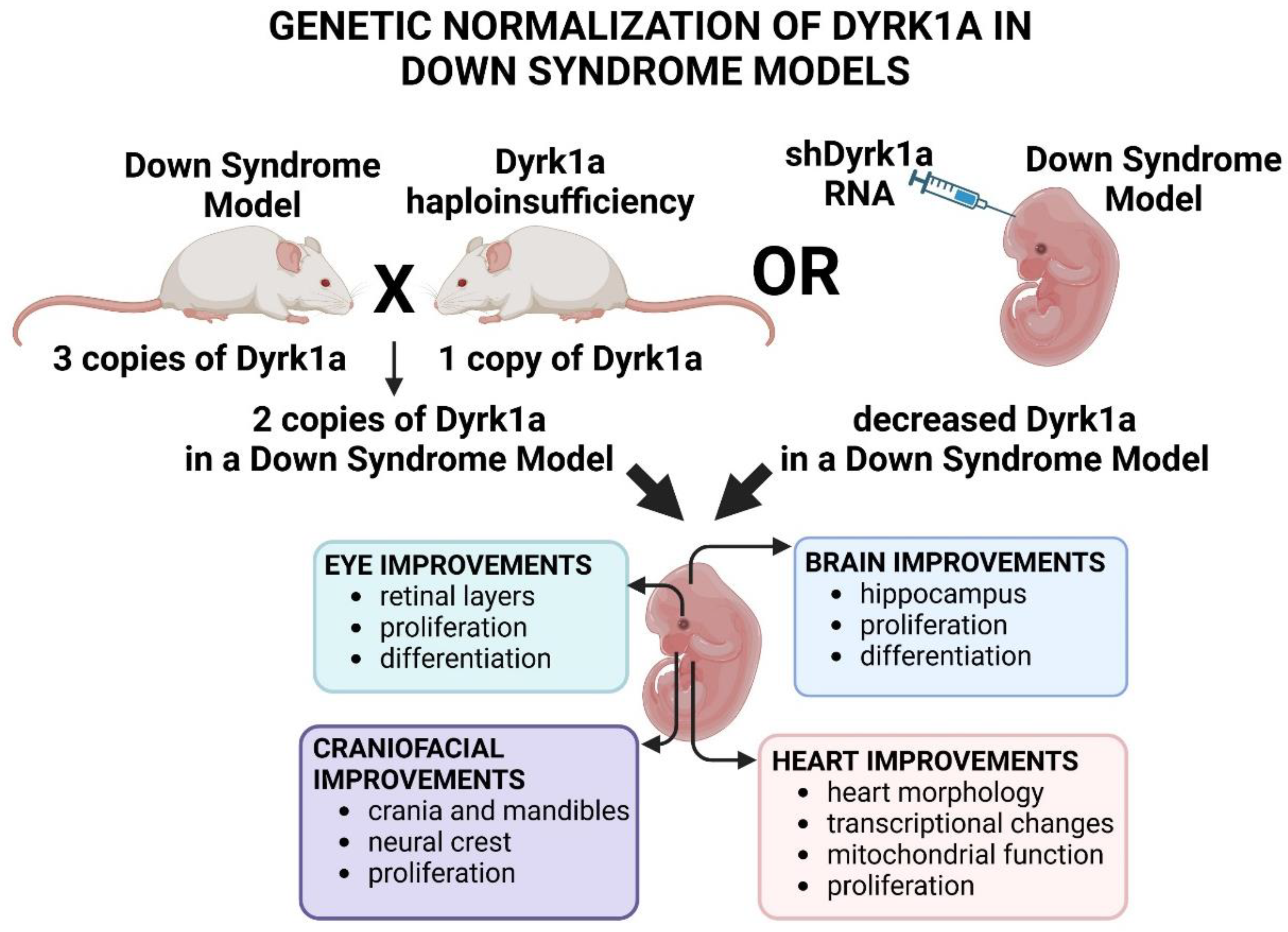 Preprints 155707 g006