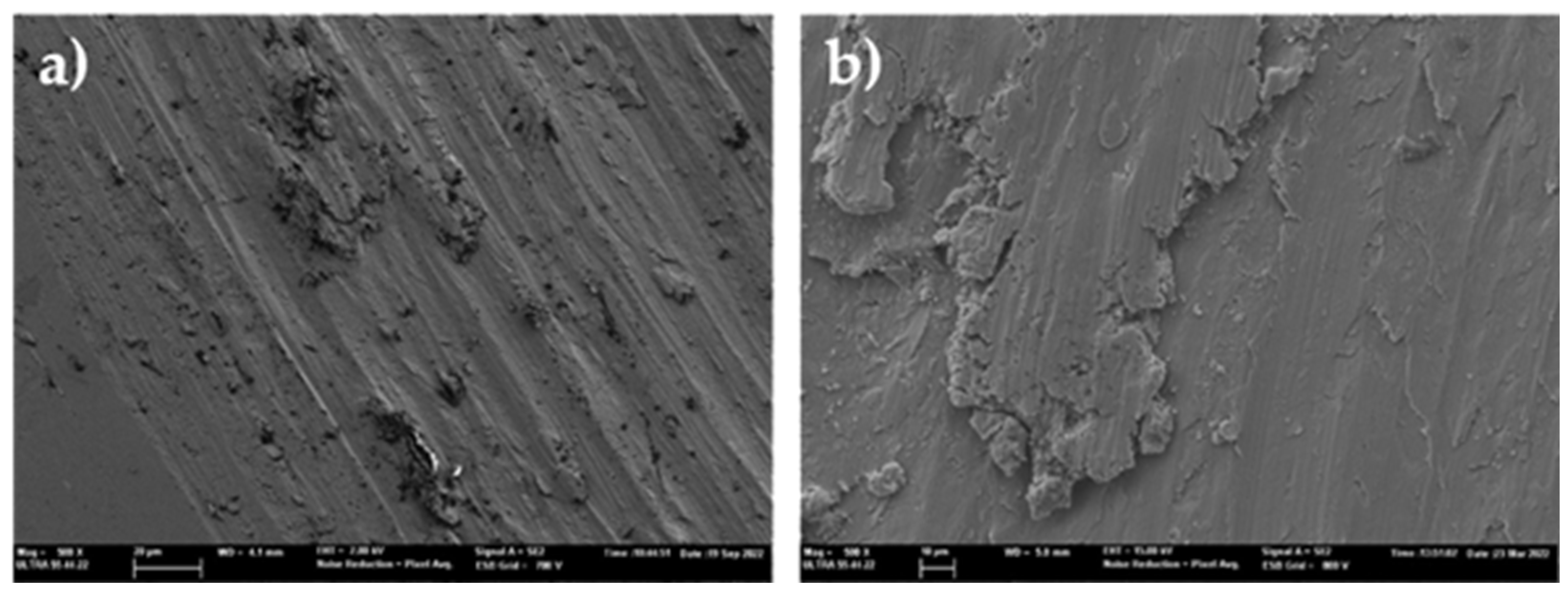 Preprints 229278 g005