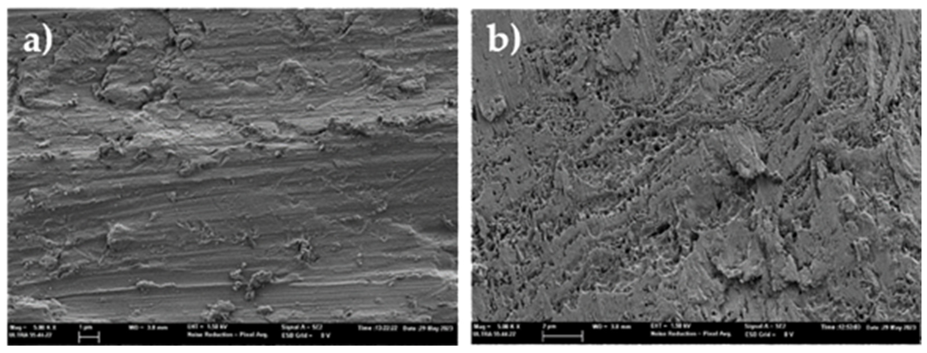 Preprints 229278 g006