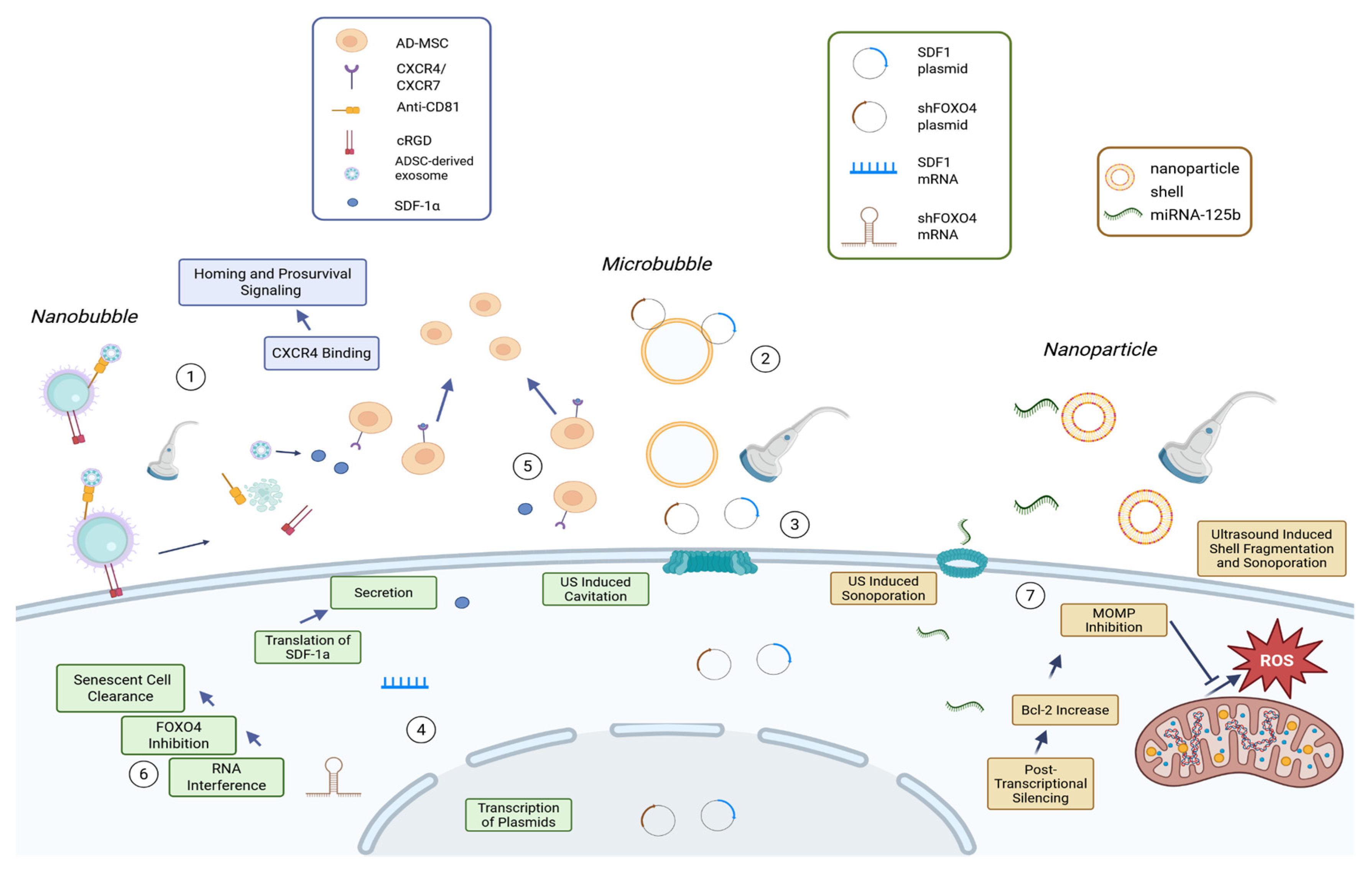 Preprints 194759 g001