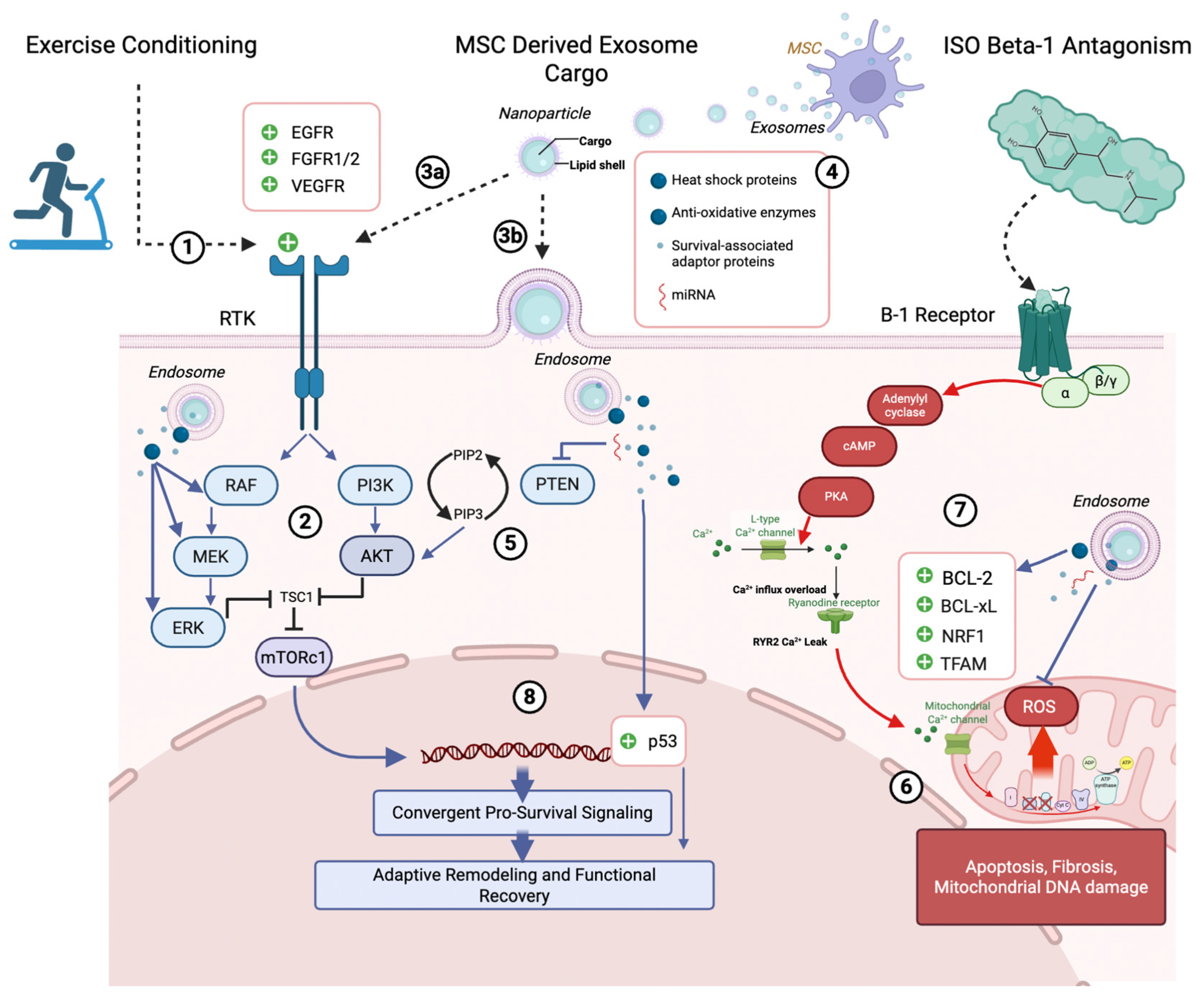 Preprints 194759 g002