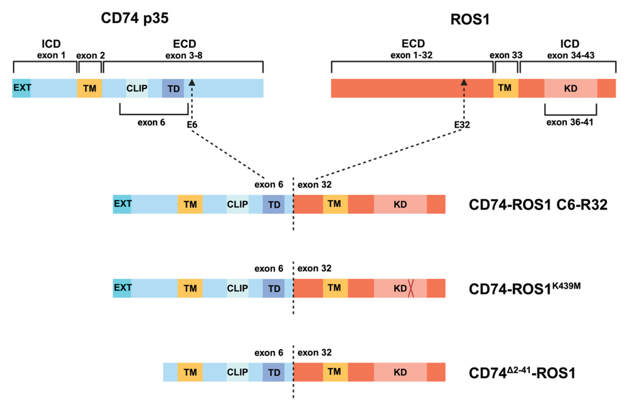 Preprints 183883 g001