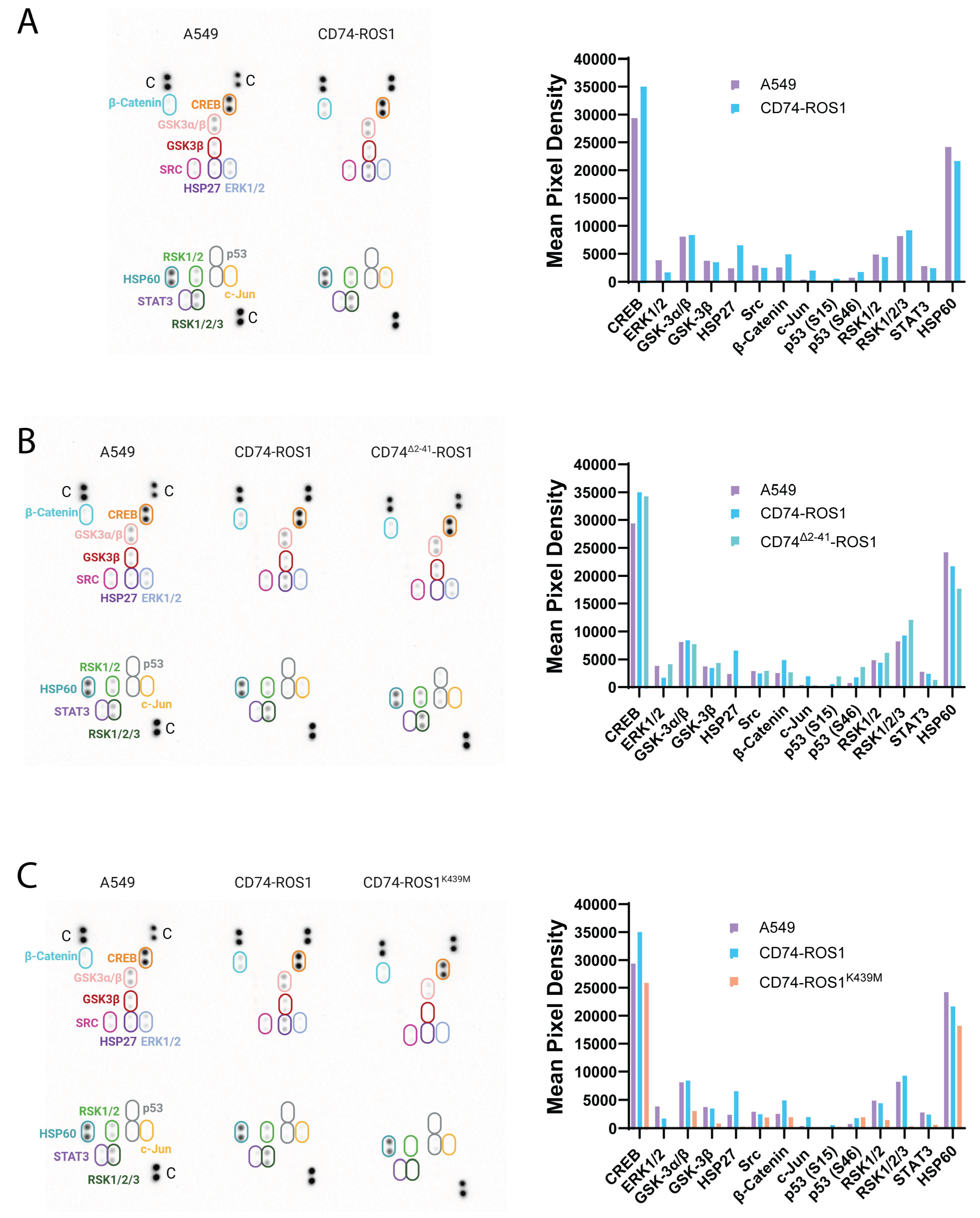 Preprints 183883 g005
