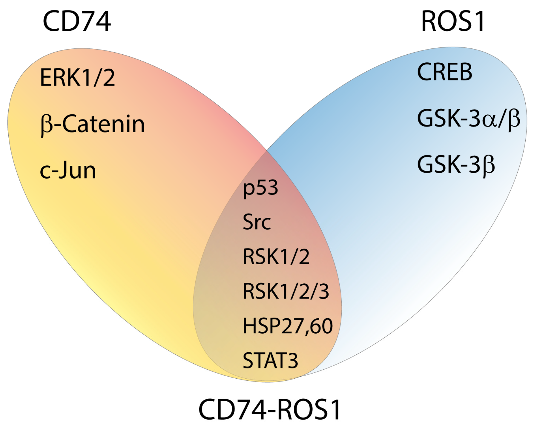 Preprints 183883 g006