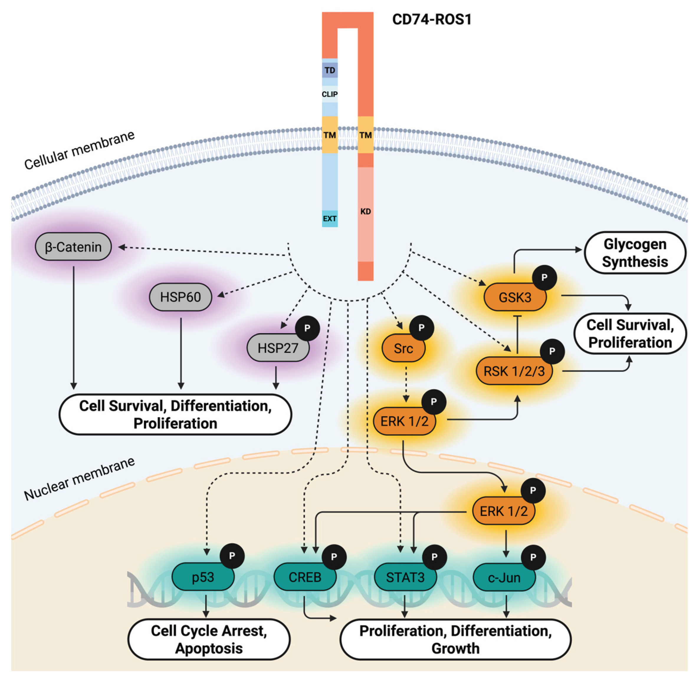 Preprints 183883 g007
