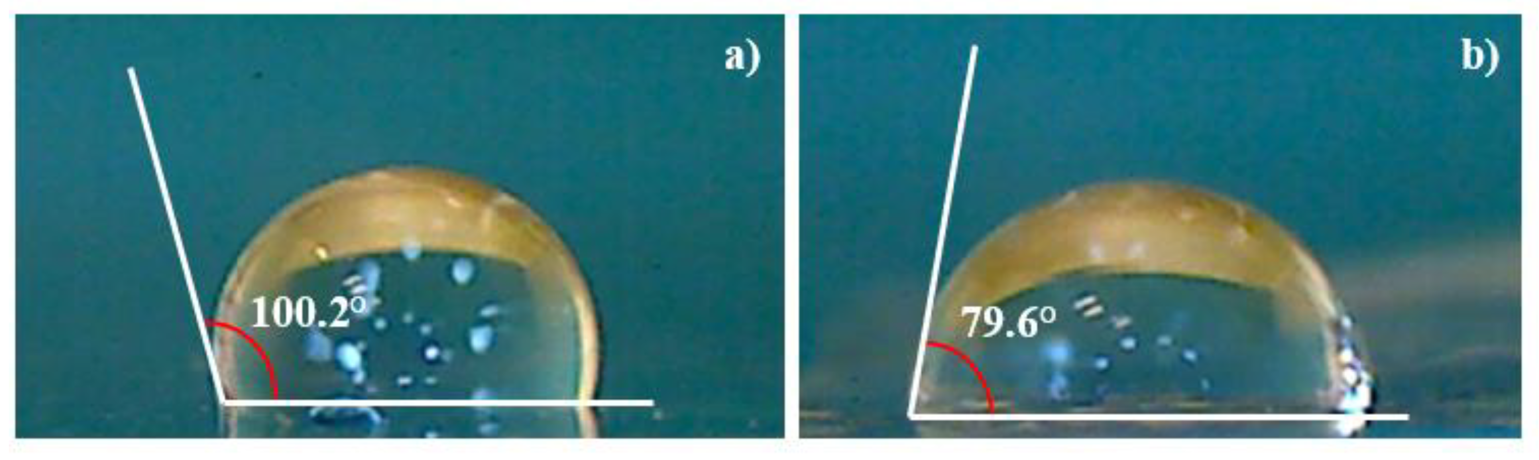 Preprints 73150 g009
