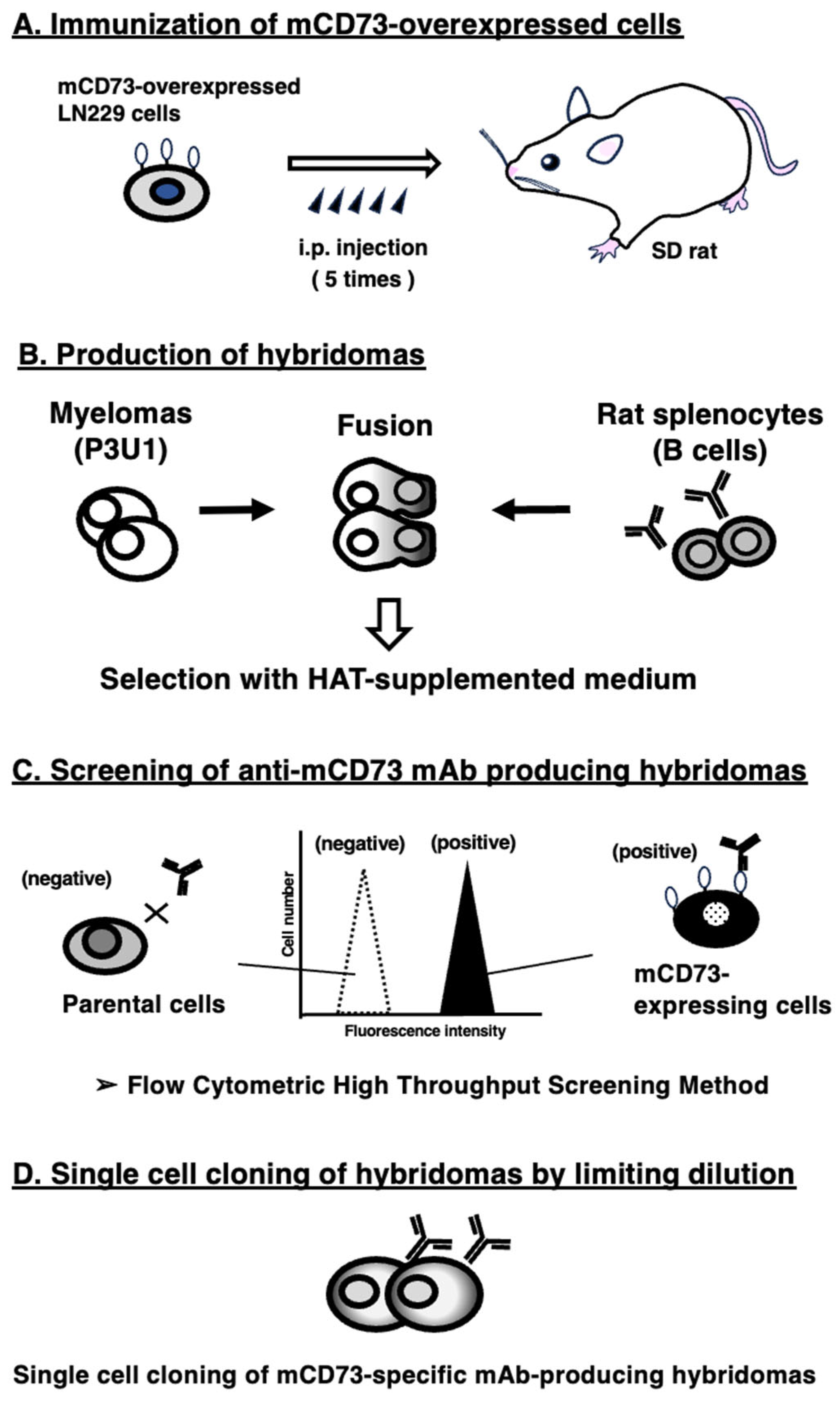 Preprints 157868 g001