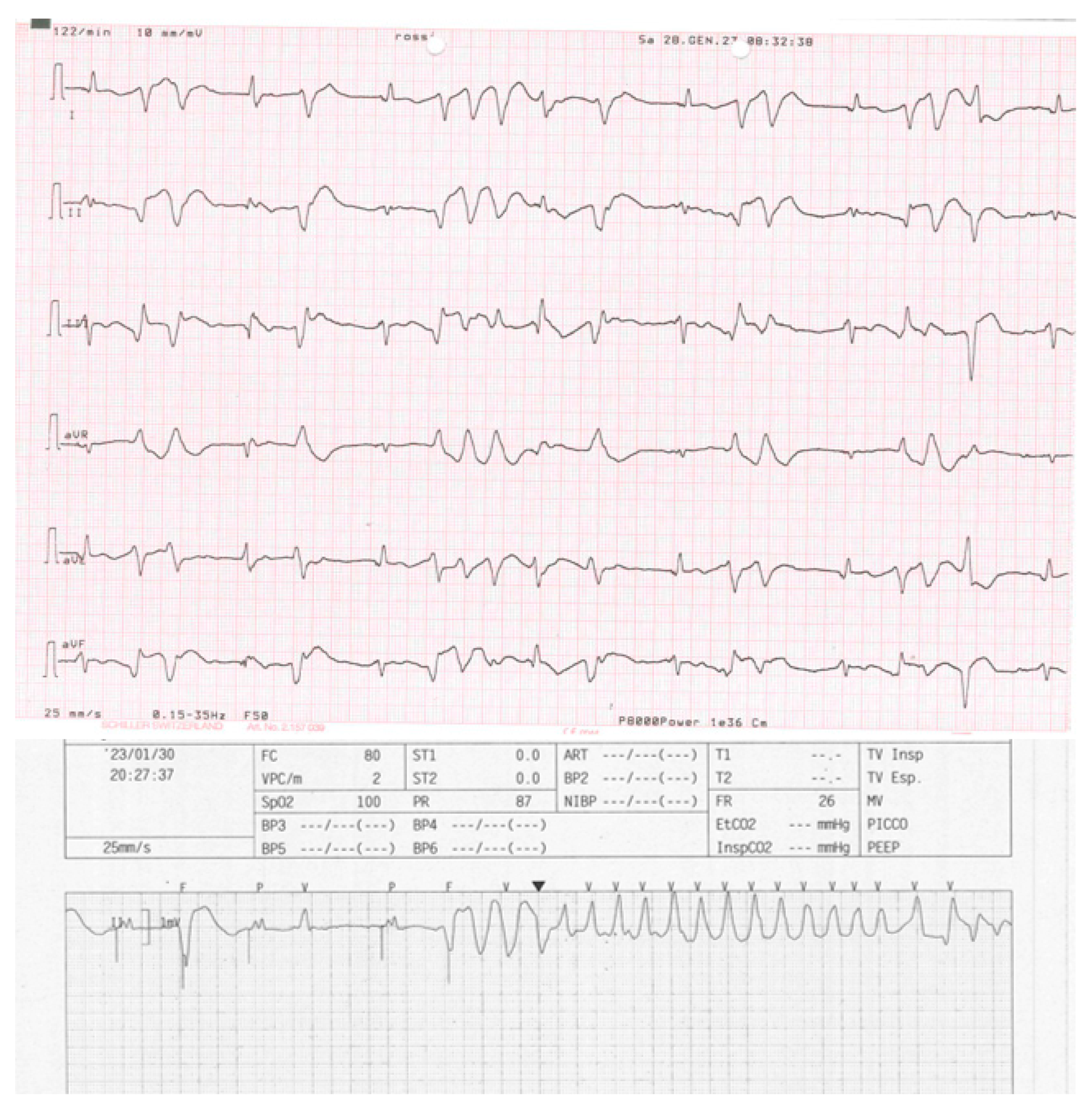 Preprints 96561 g002