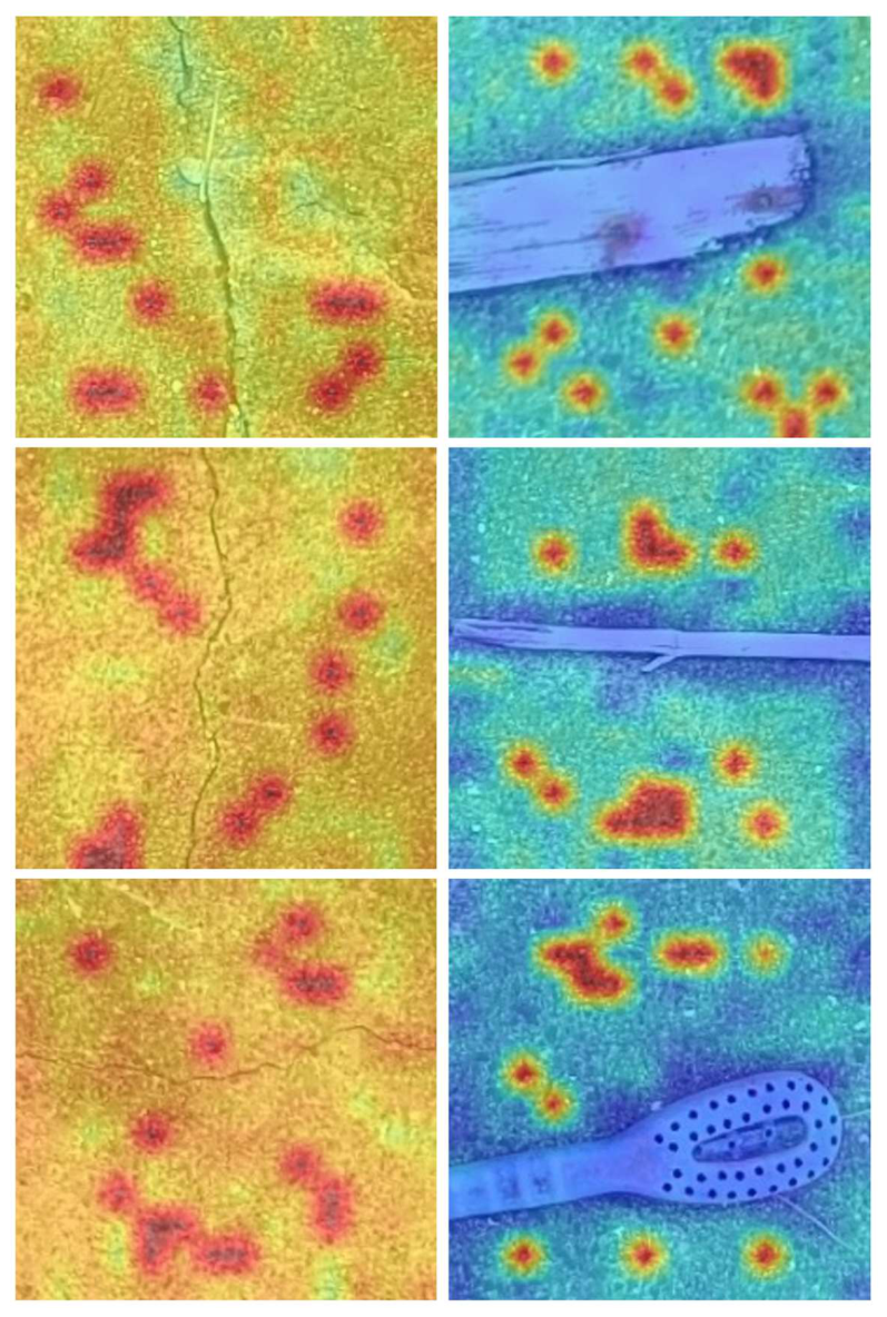 Preprints 210275 g005