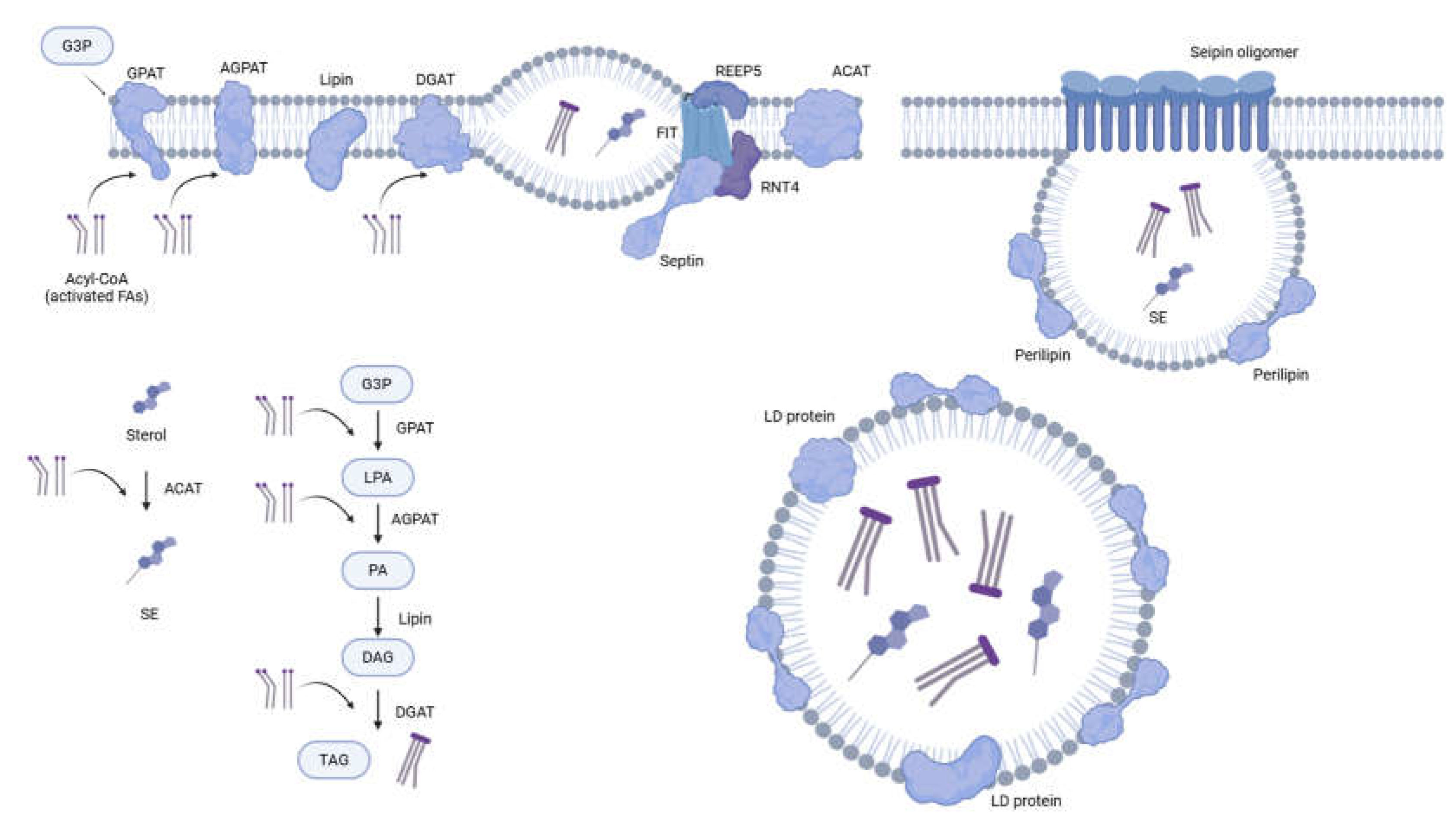Preprints 149035 g001