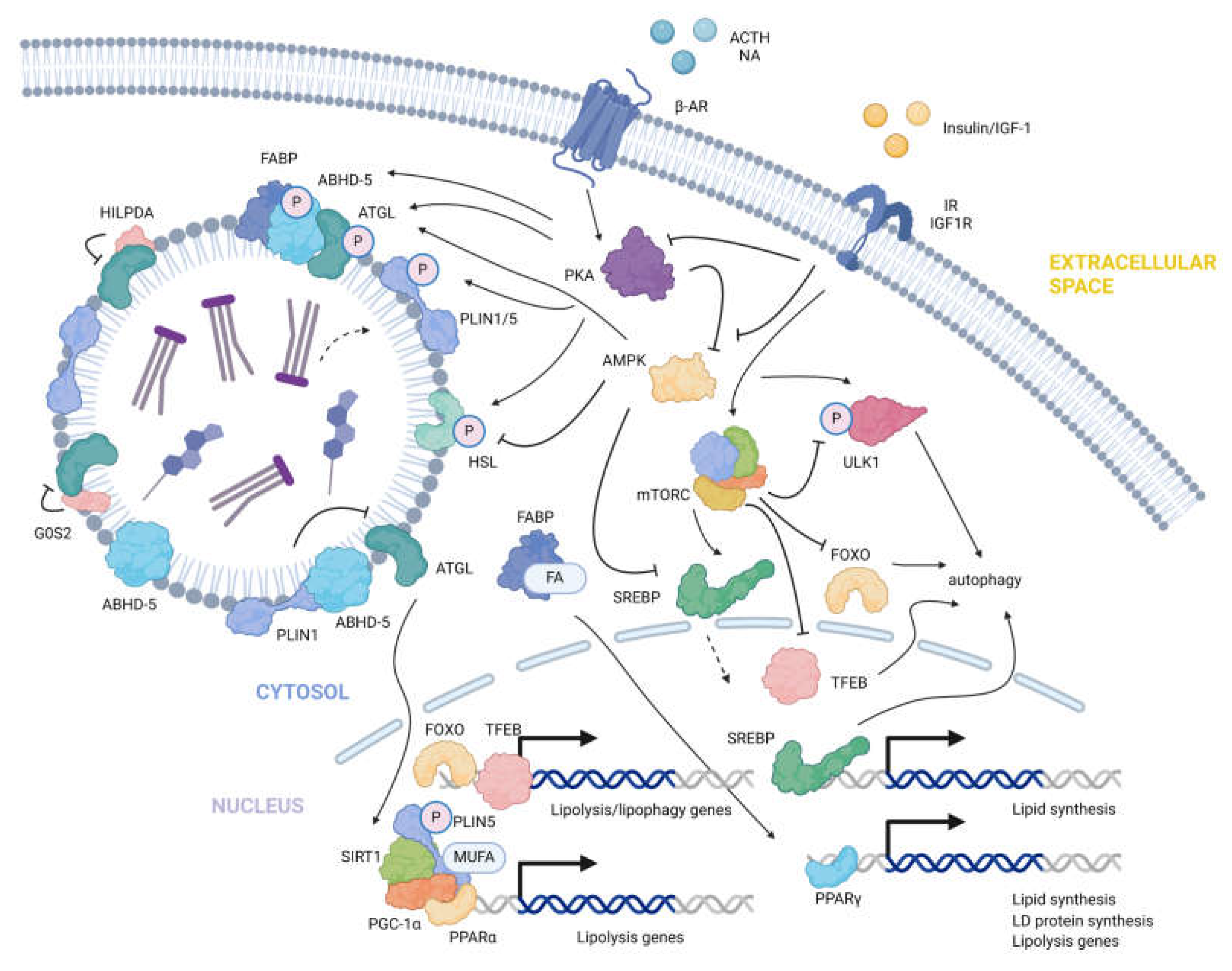 Preprints 149035 g003