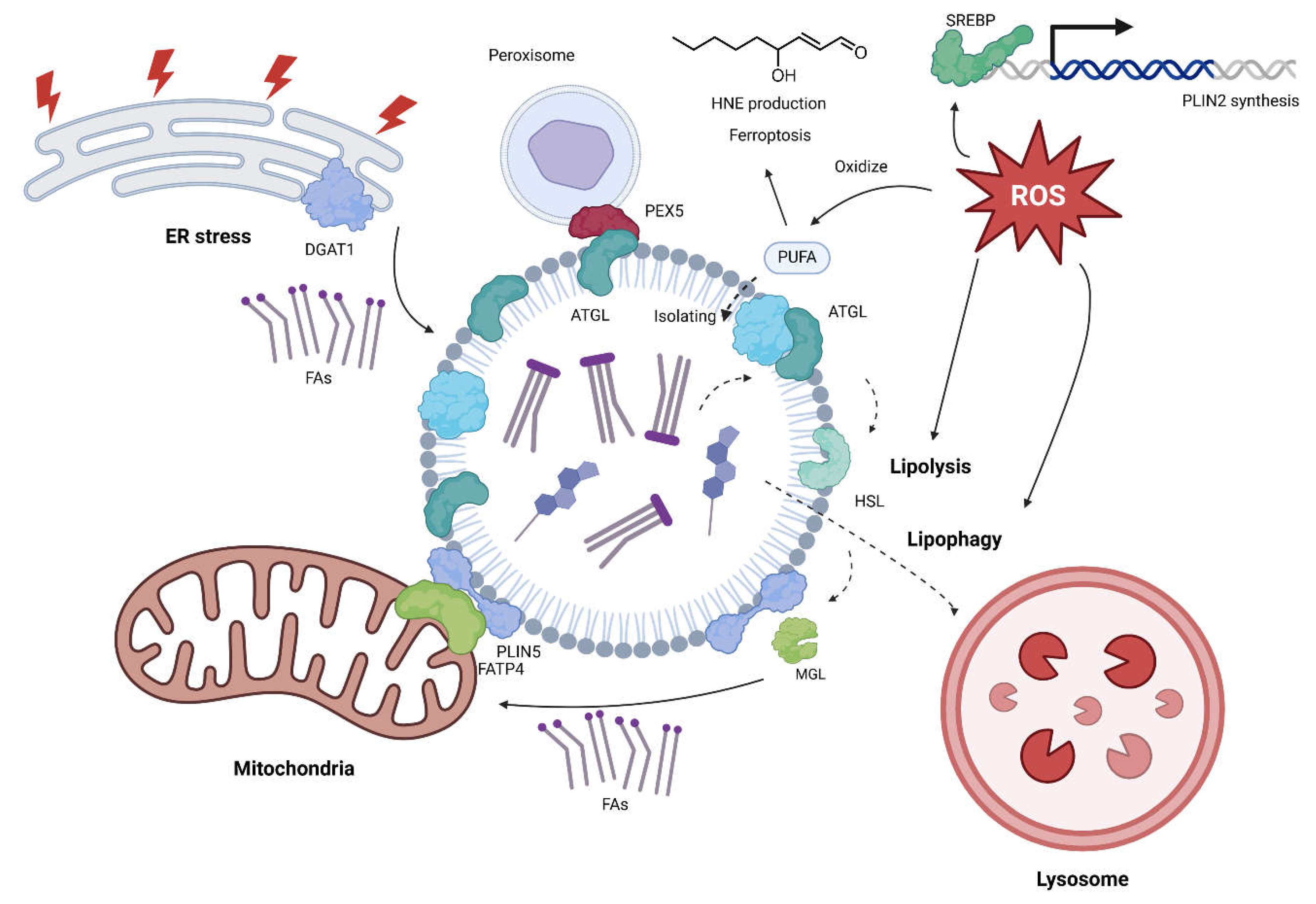 Preprints 149035 g004
