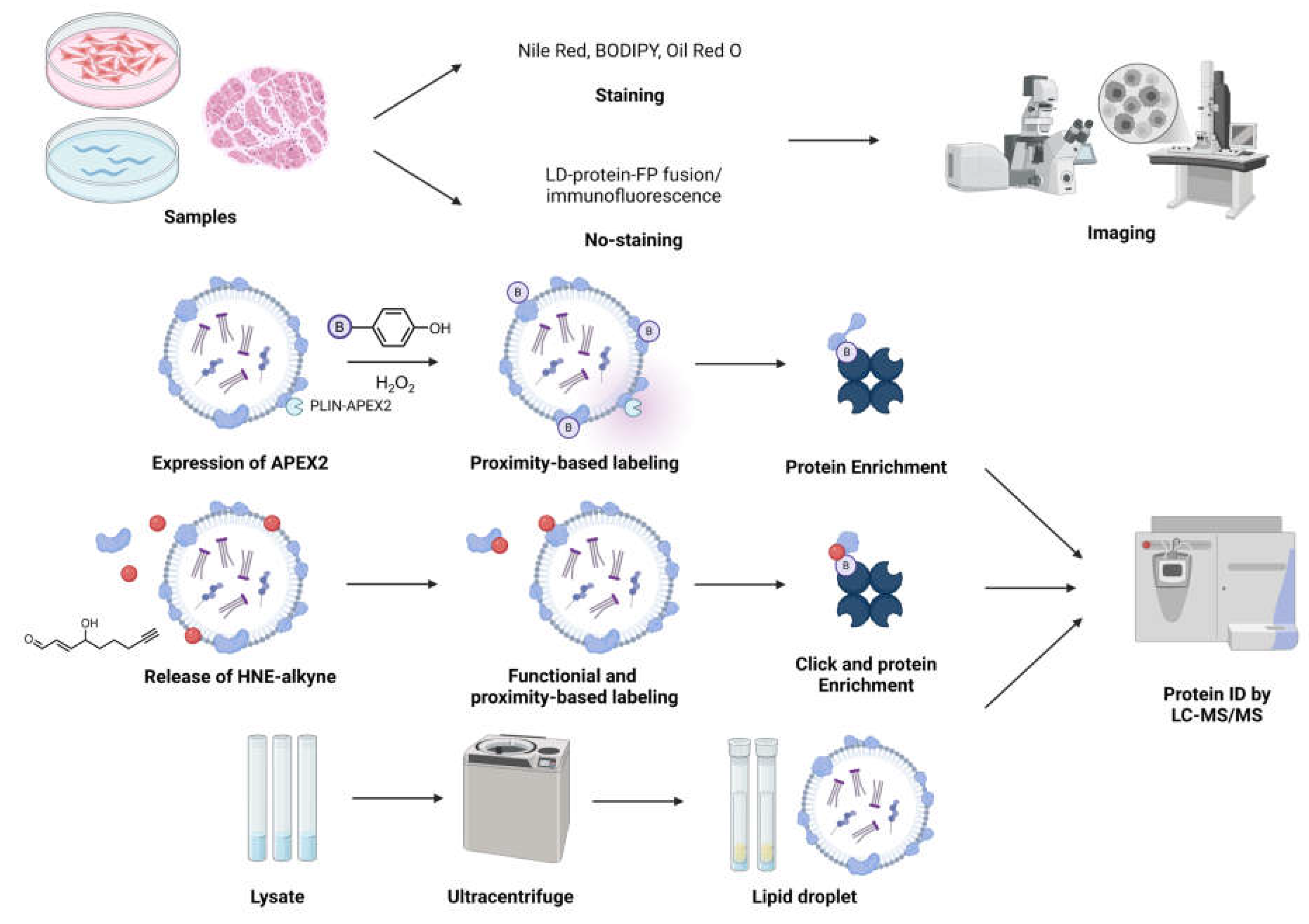 Preprints 149035 g005