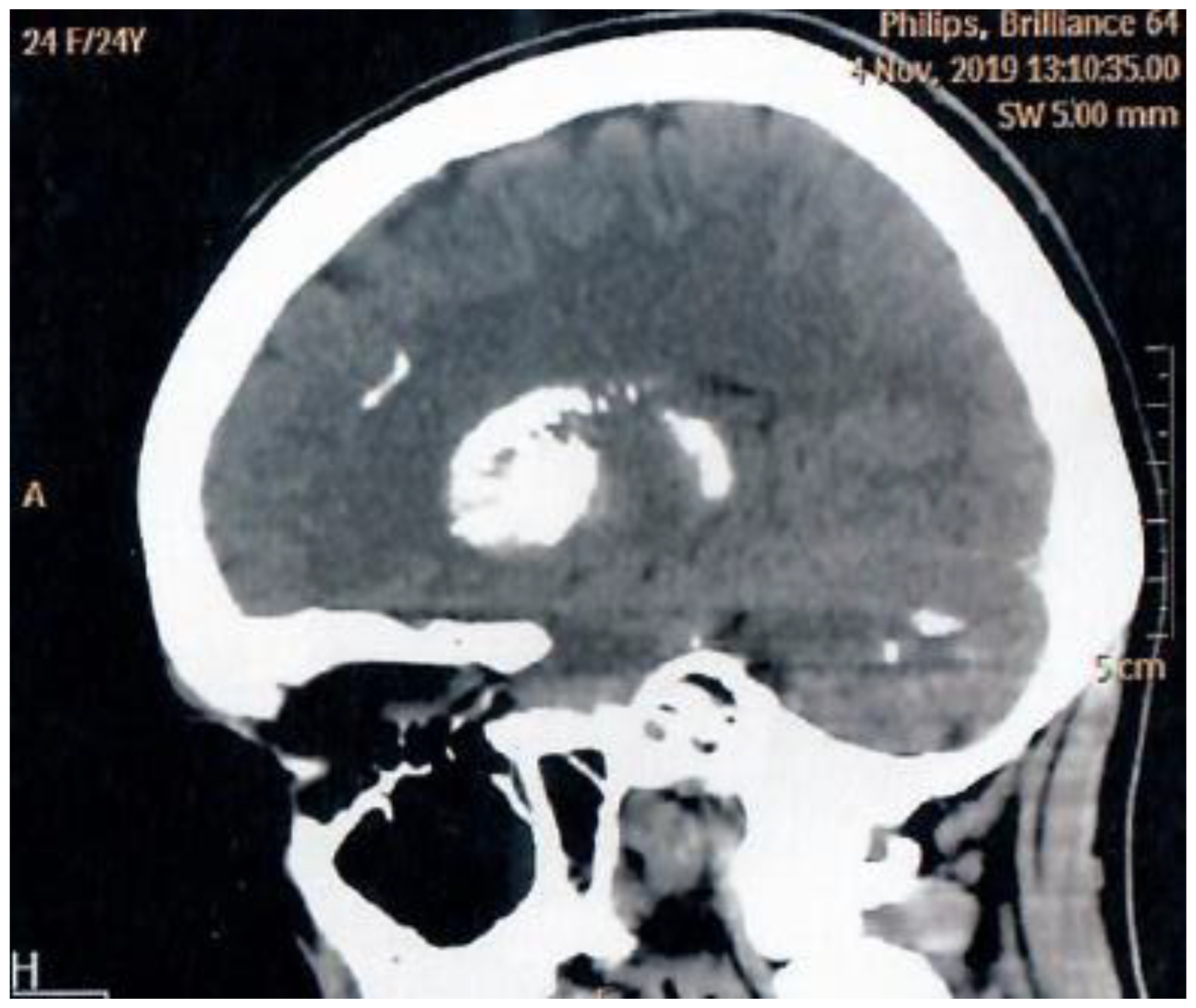 Preprints 189109 g001