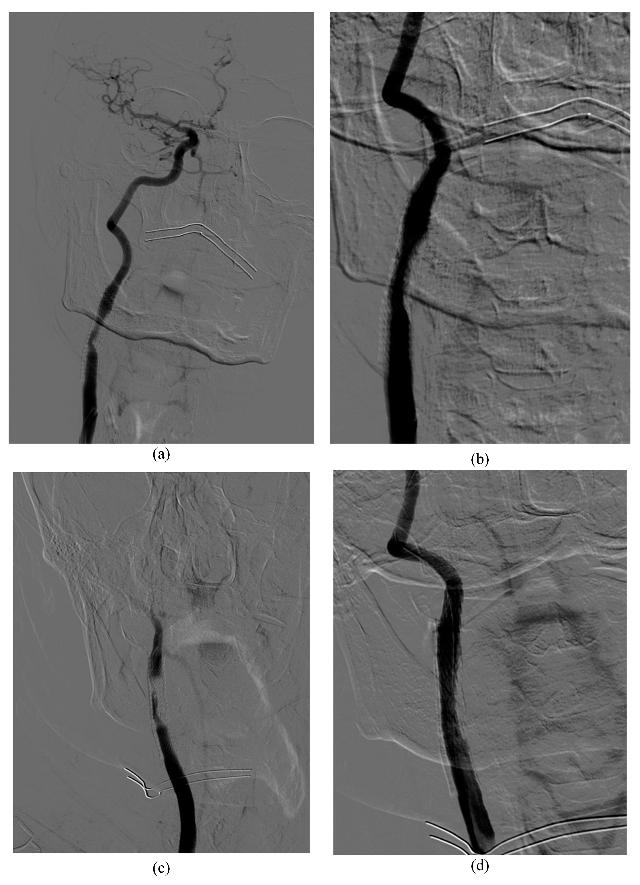 Preprints 113116 g001