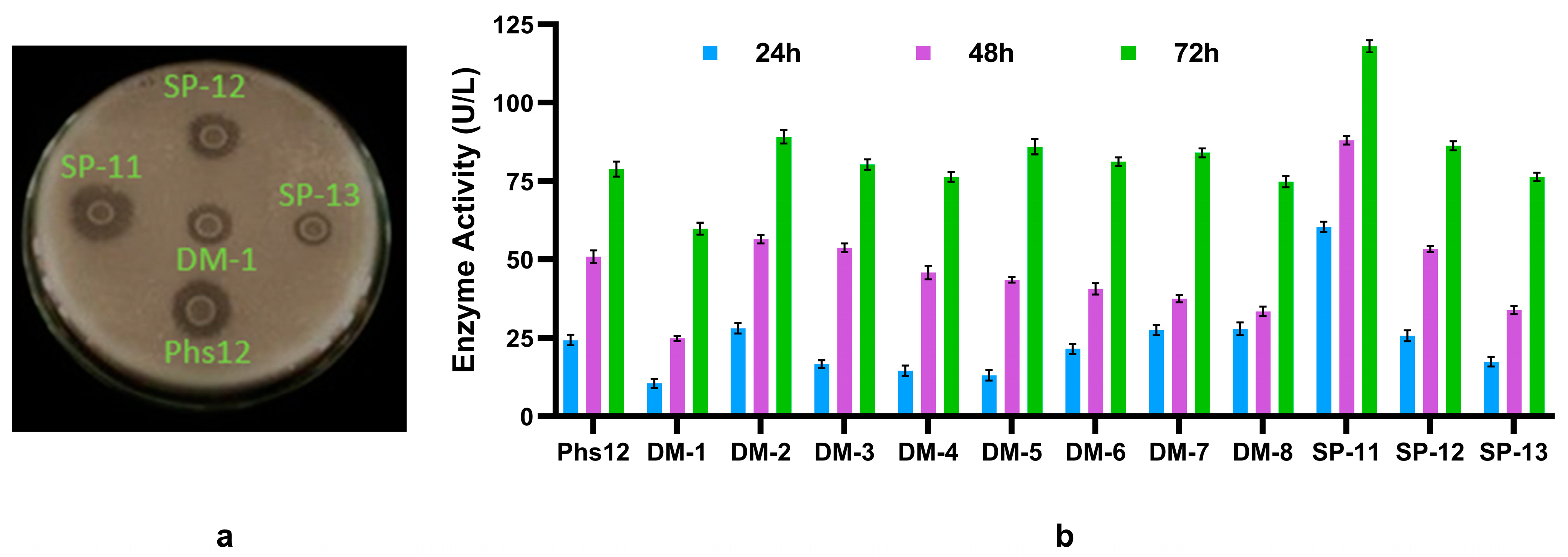 Preprints 156396 g001