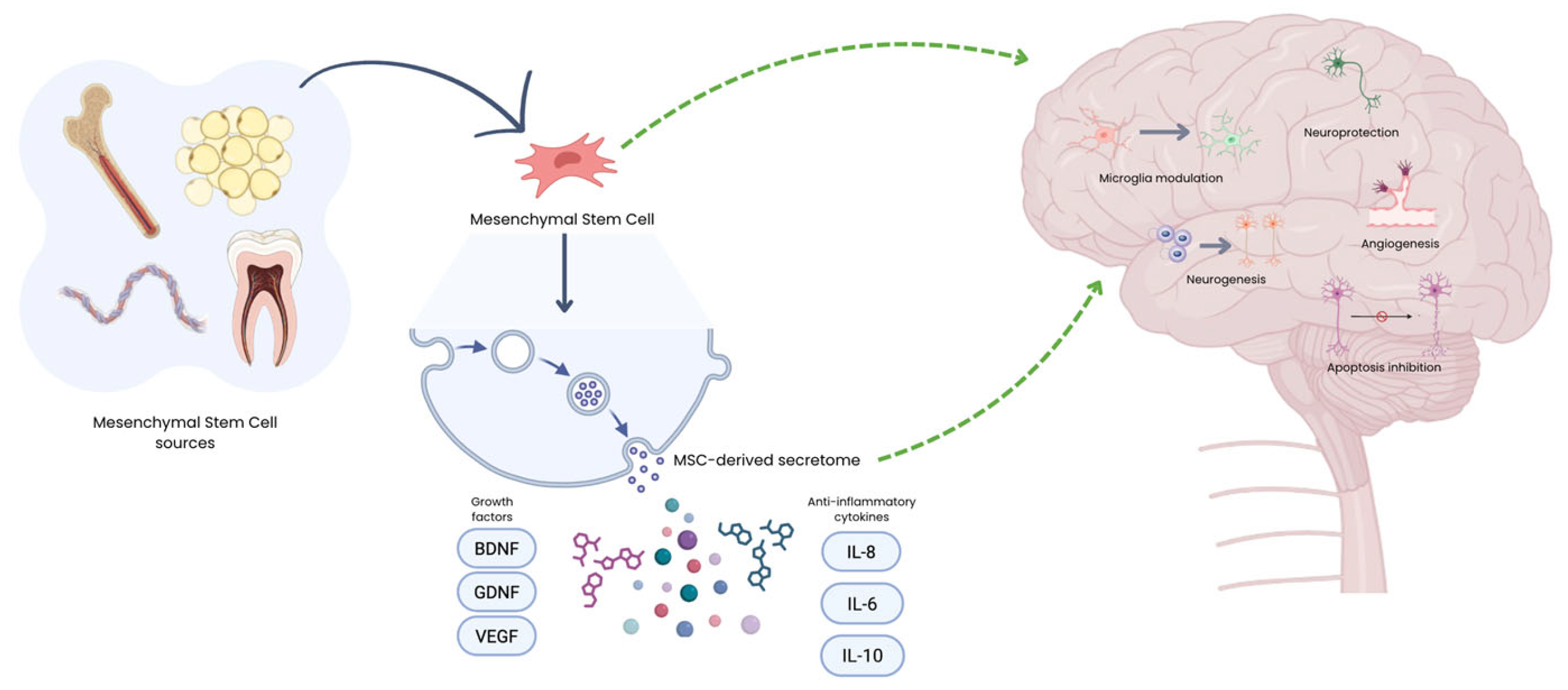 Preprints 194003 g001