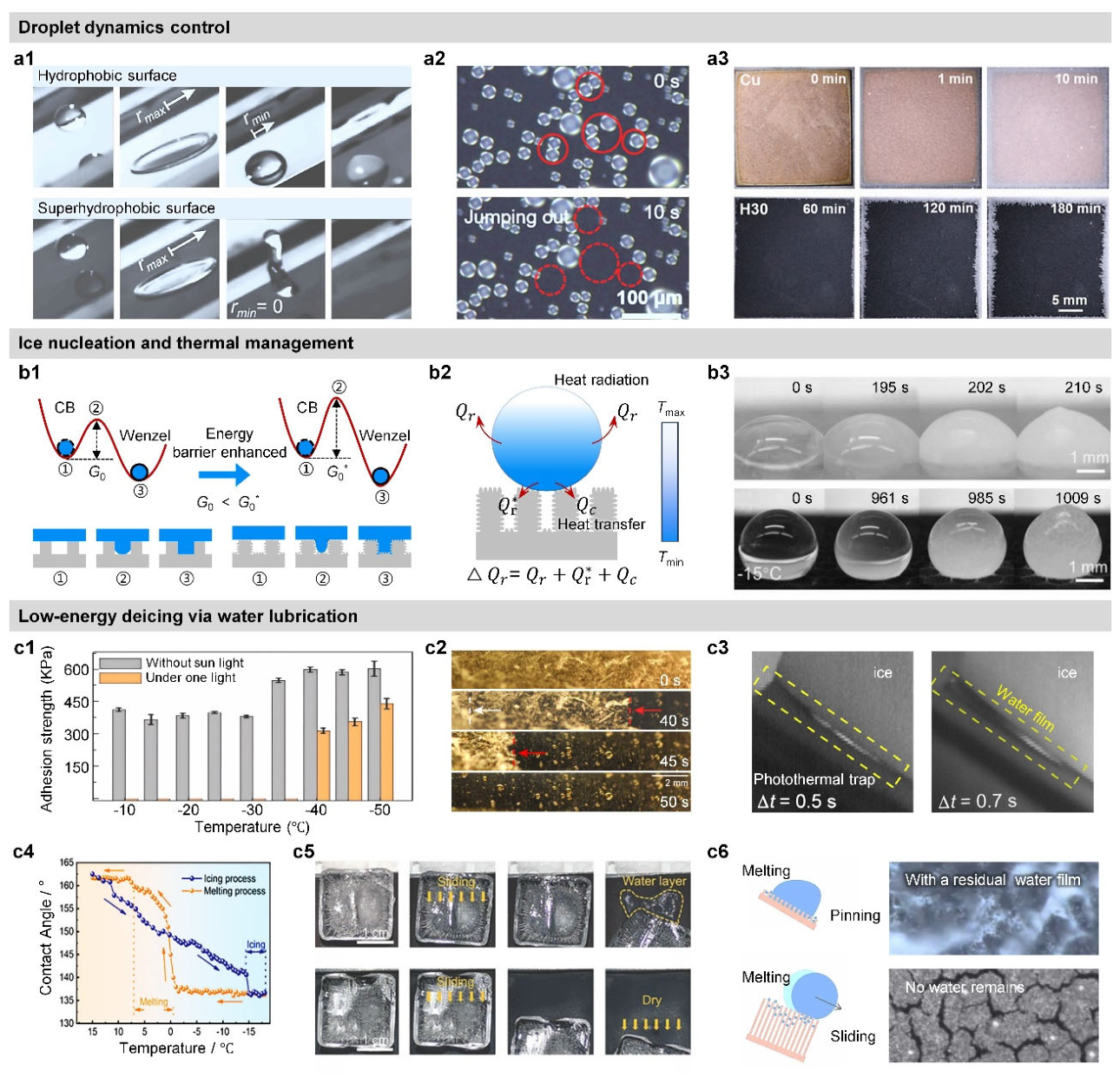 Preprints 209297 g004
