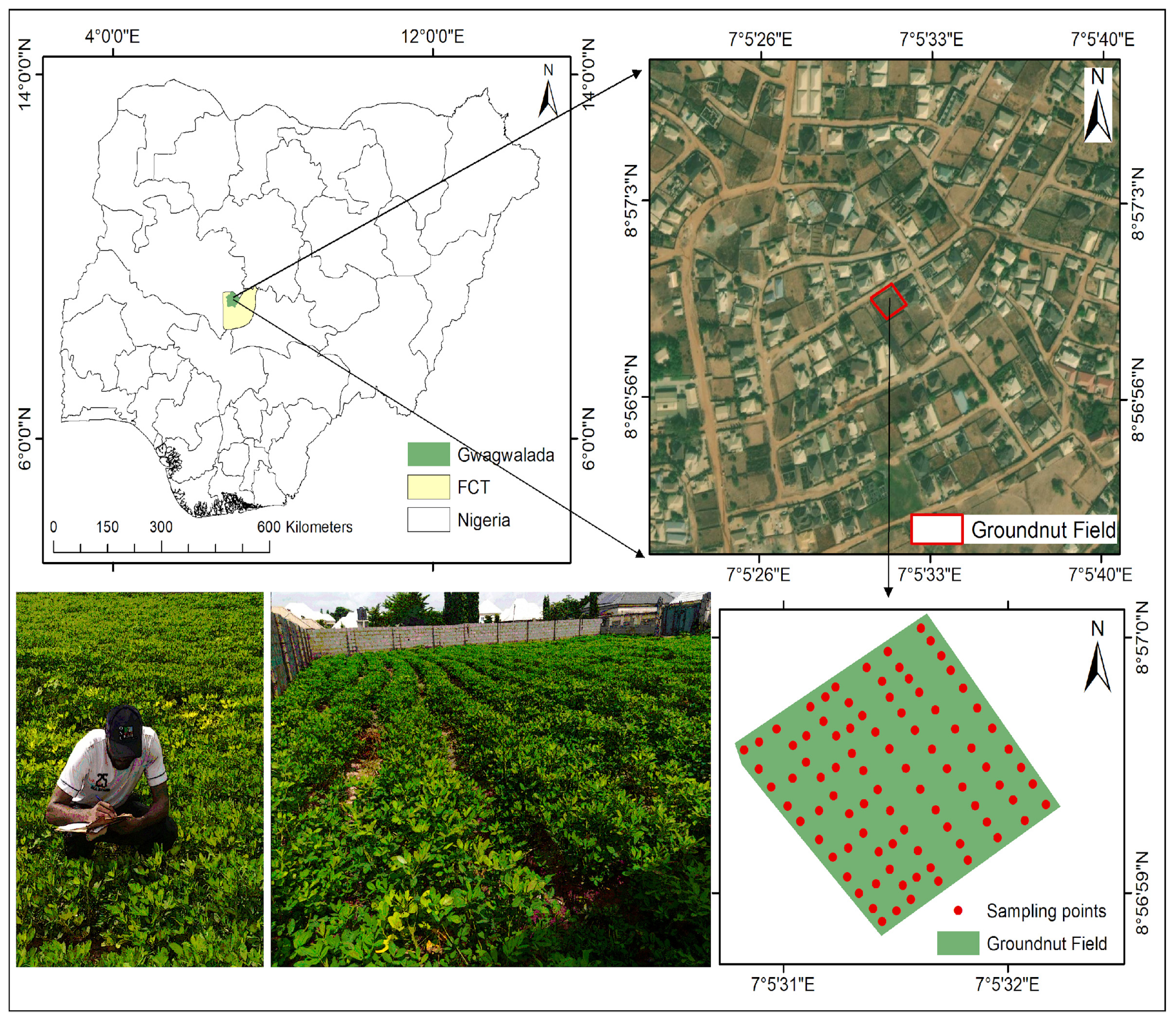 Preprints 184930 g001