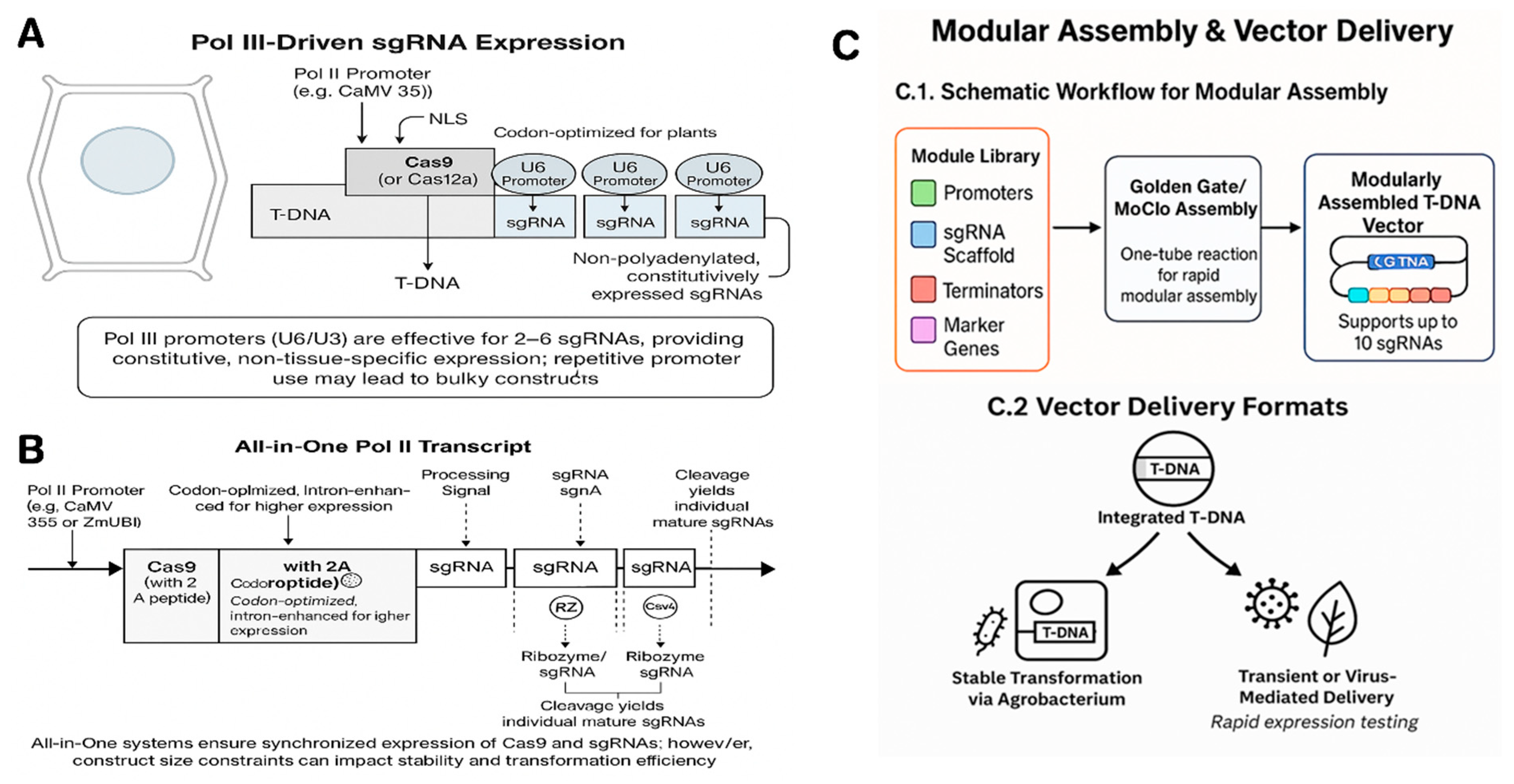 Preprints 164250 g003