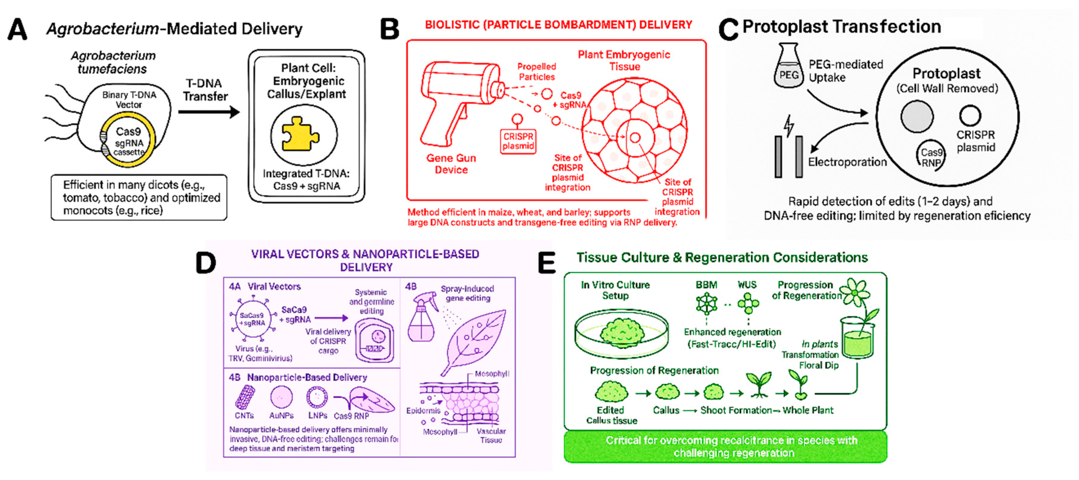 Preprints 164250 g004