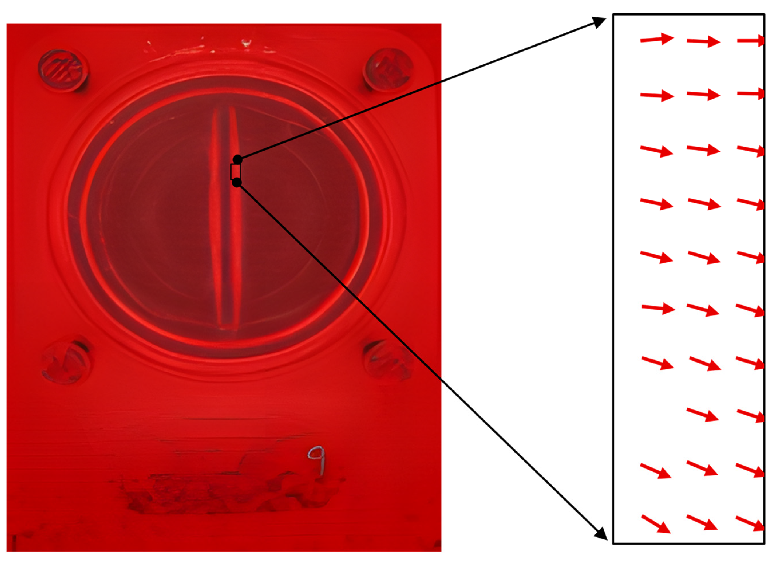 Preprints 178925 g006