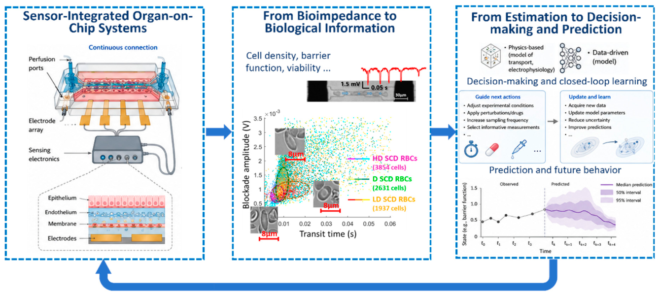 Preprints 231129 g001