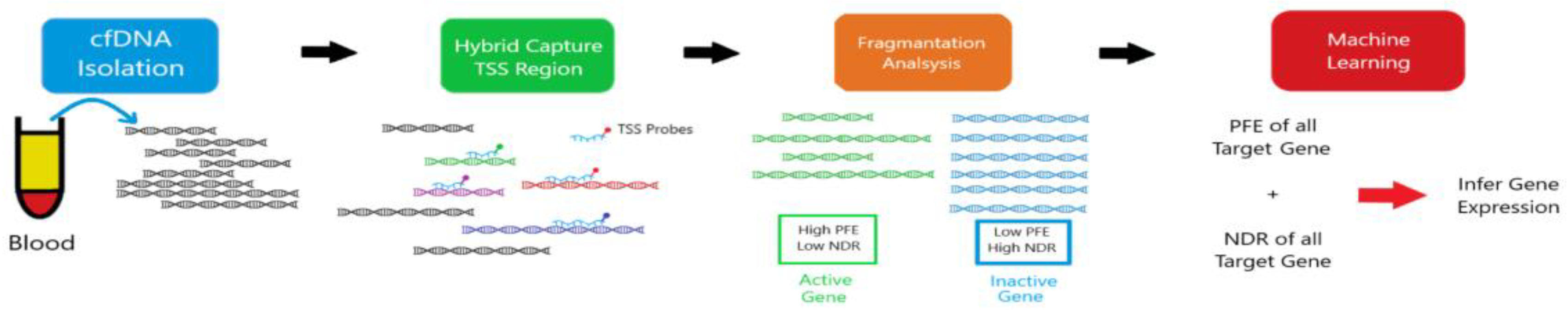 Preprints 166759 g001