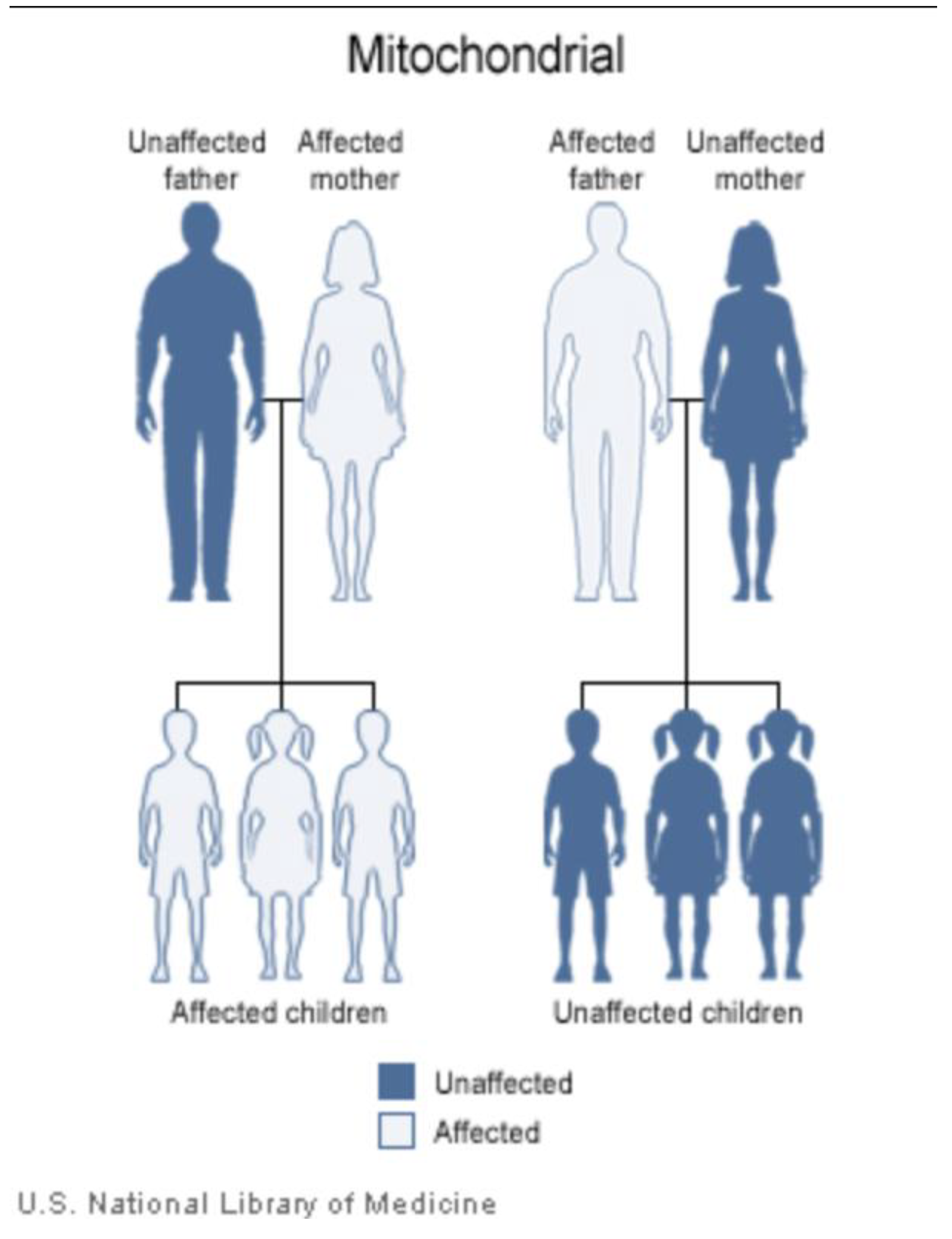 Preprints 166759 g002