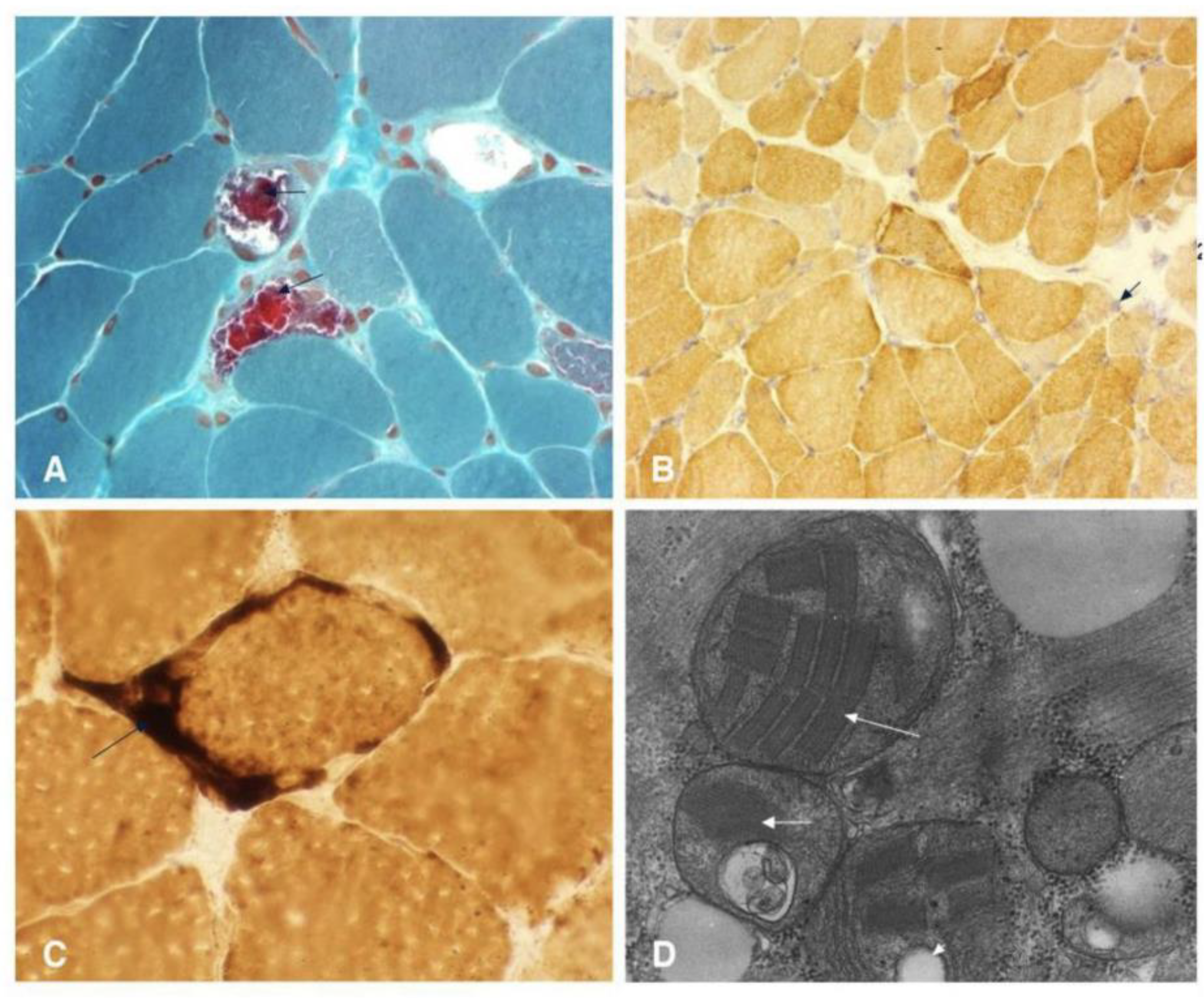 Preprints 166759 g004