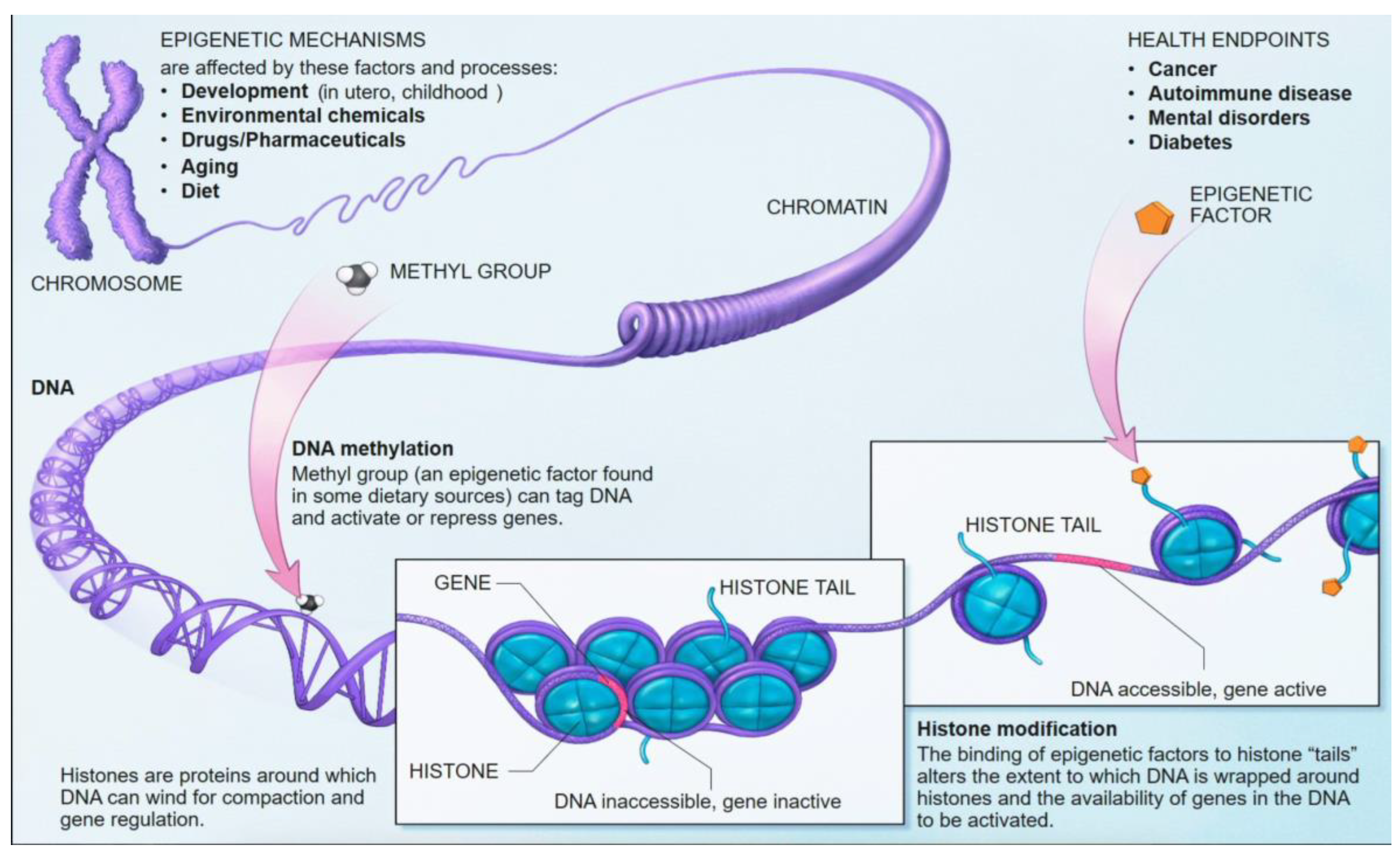 Preprints 166759 g006
