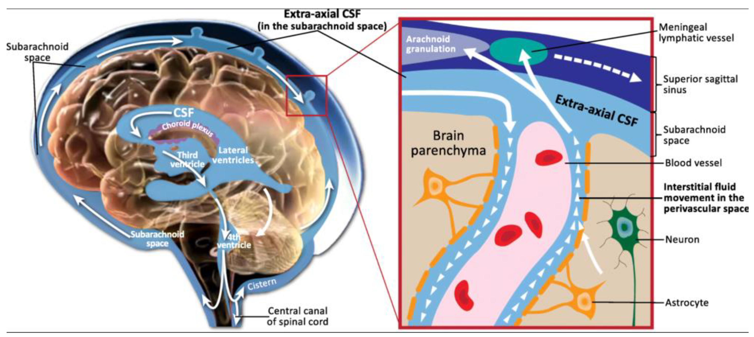 Preprints 166759 g007