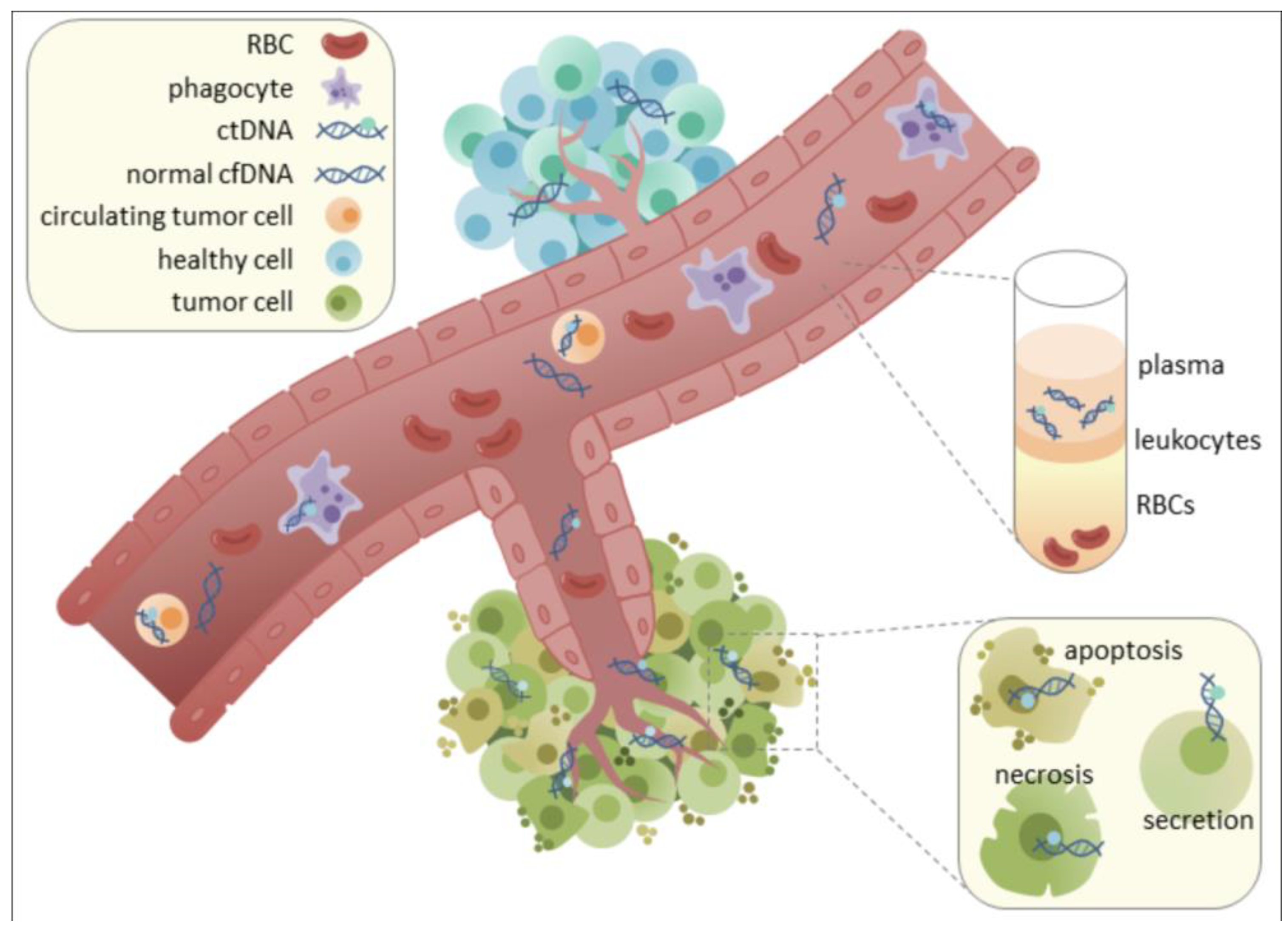Preprints 166759 g008