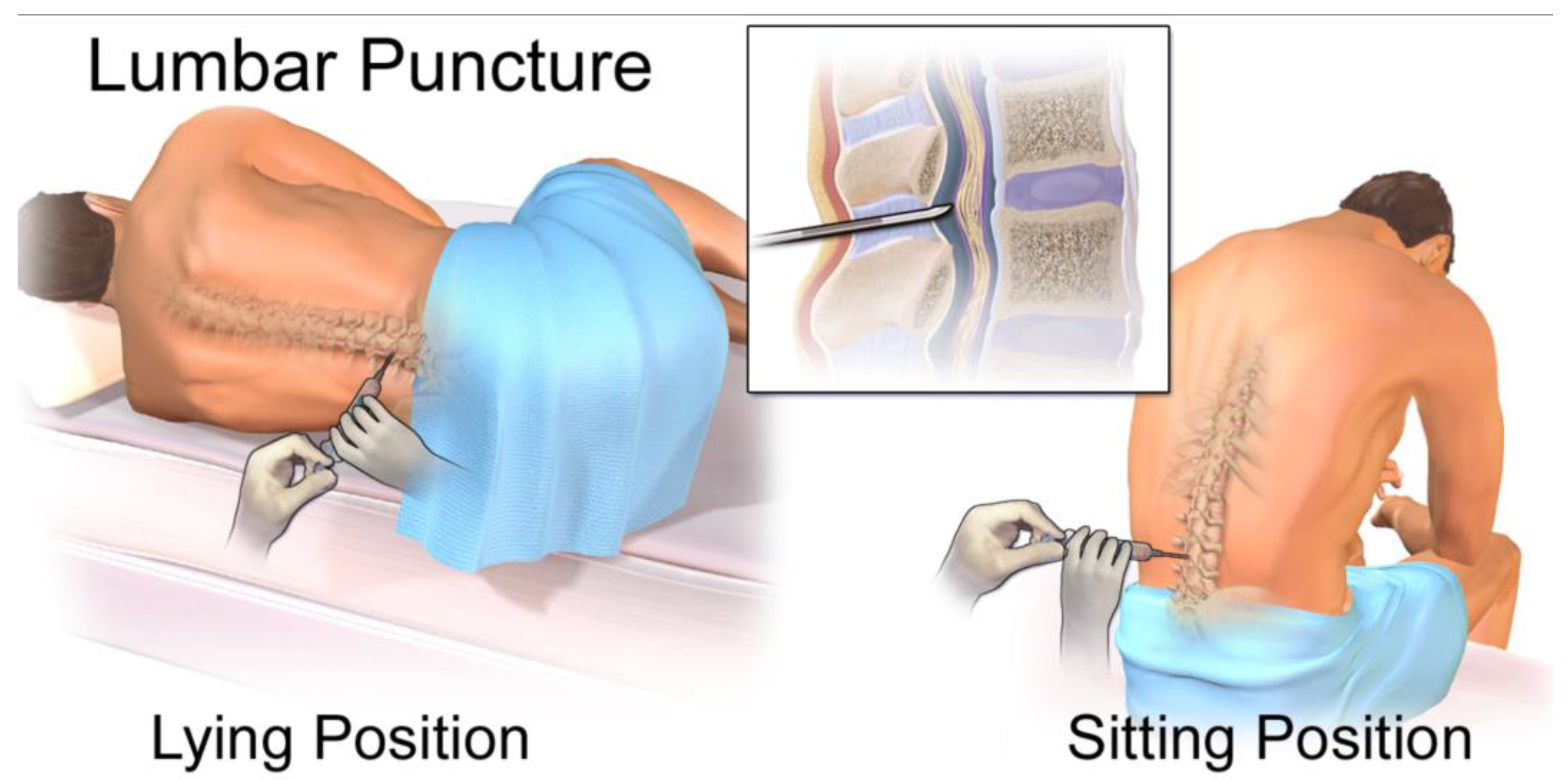 Preprints 166759 g009