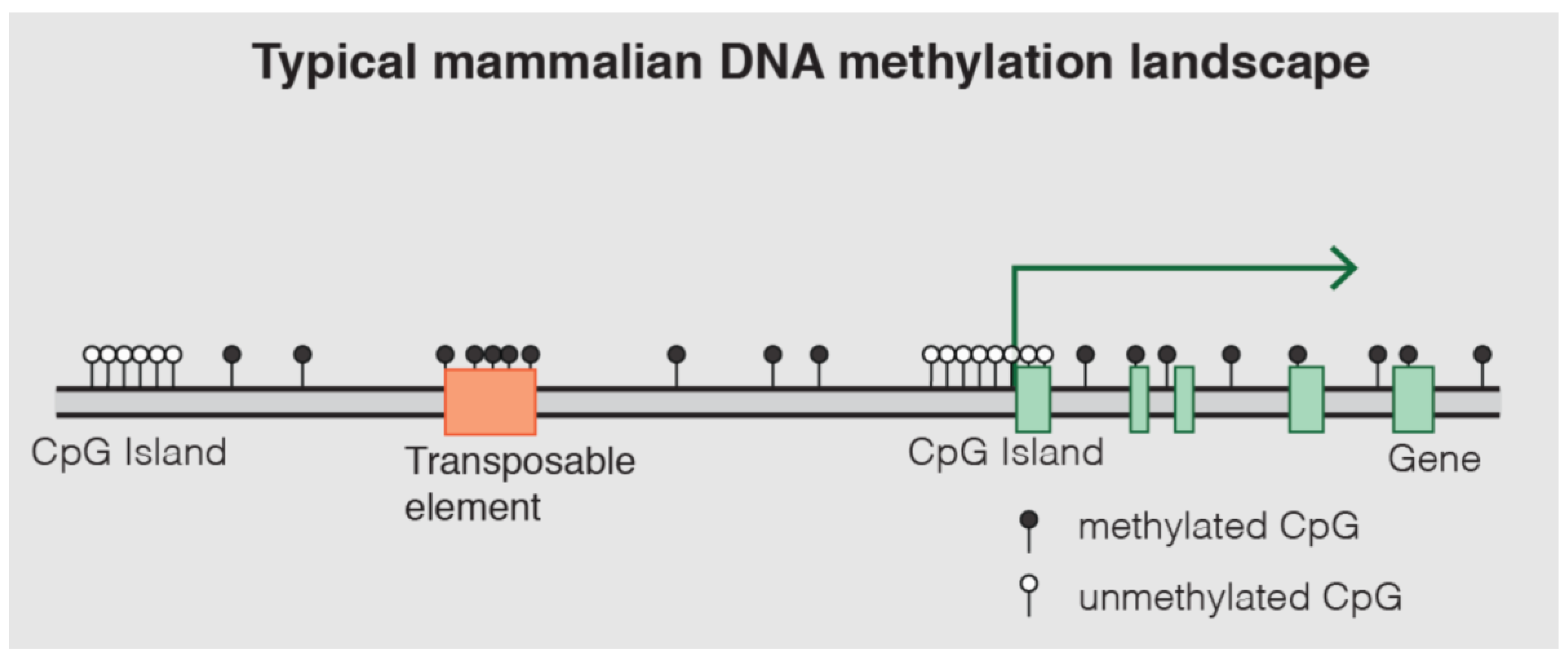 Preprints 166759 g010