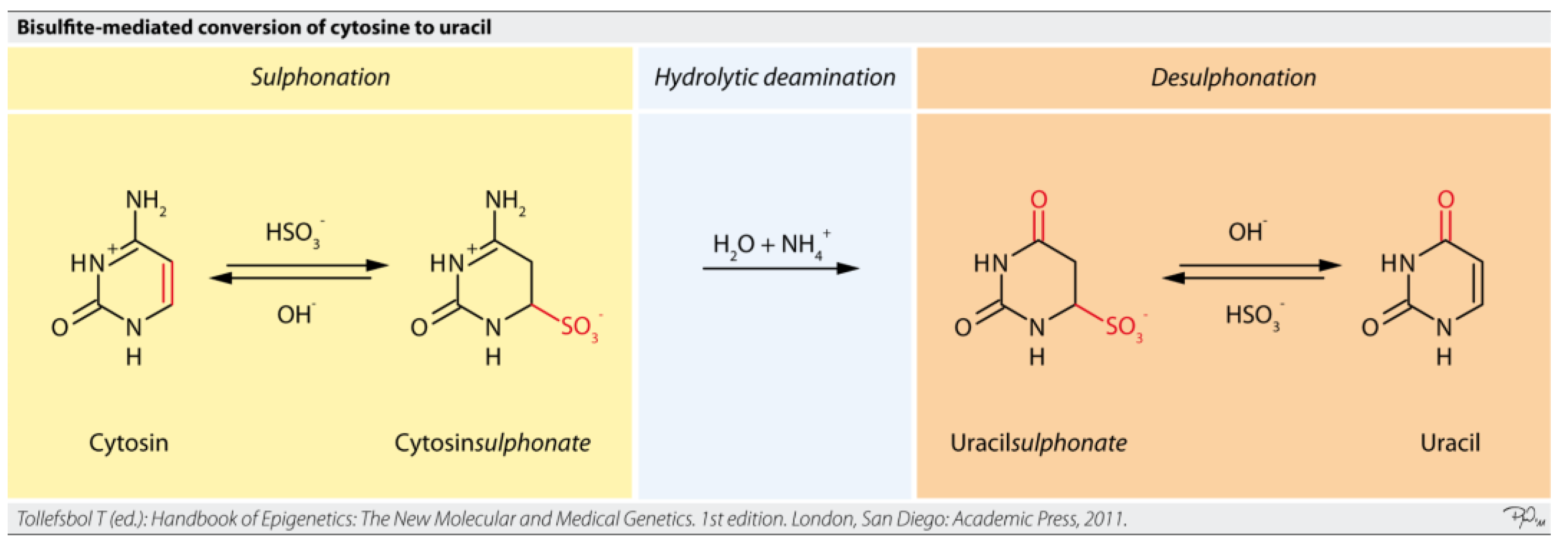 Preprints 166759 g011