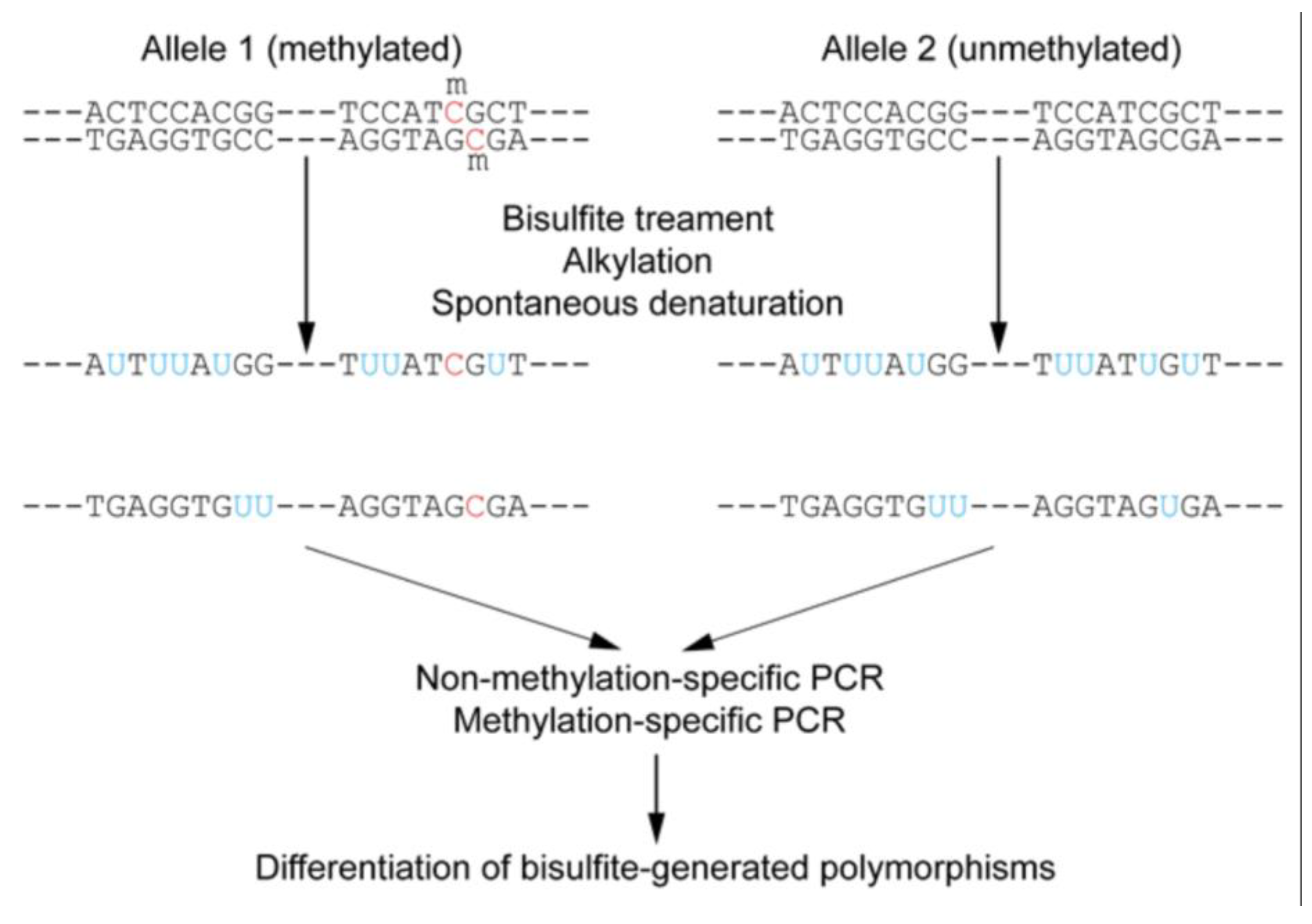Preprints 166759 g012