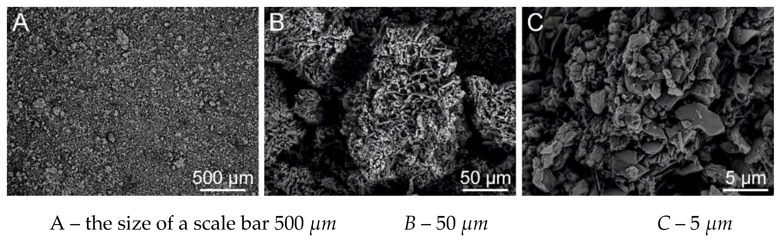 Preprints 148489 g009