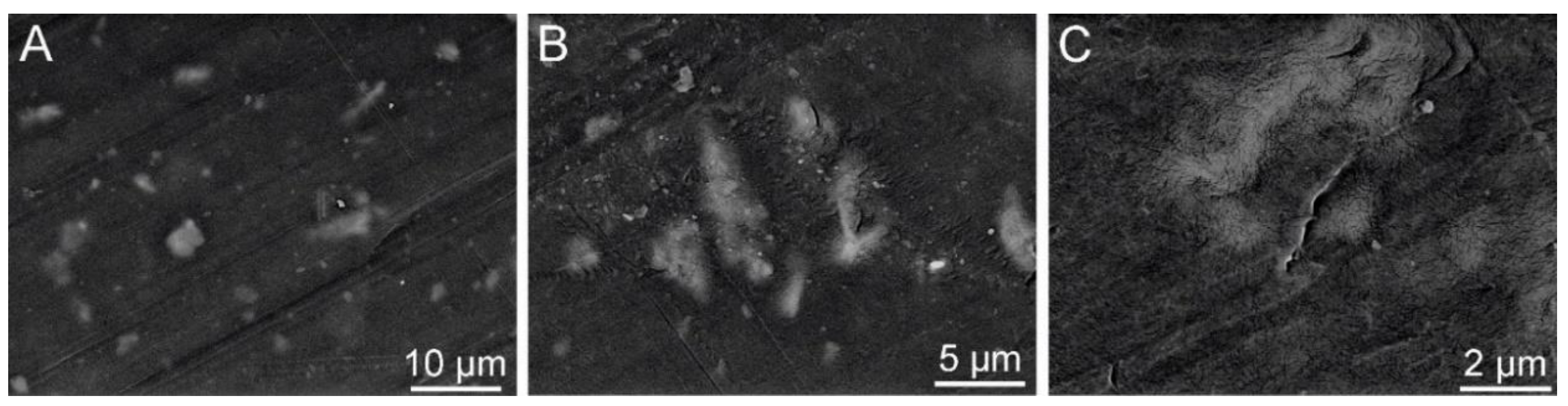 Preprints 148489 g025