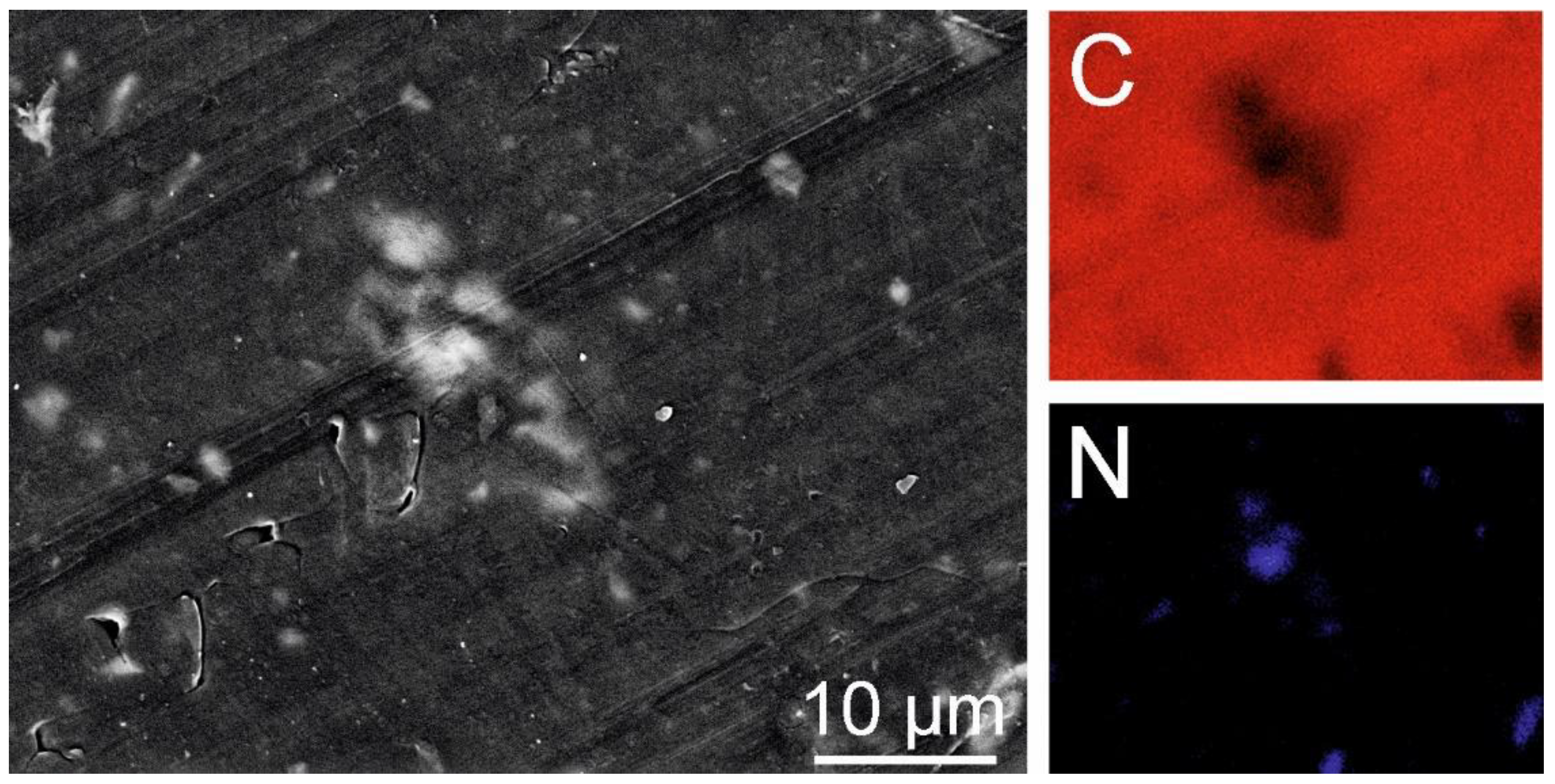 Preprints 148489 g026