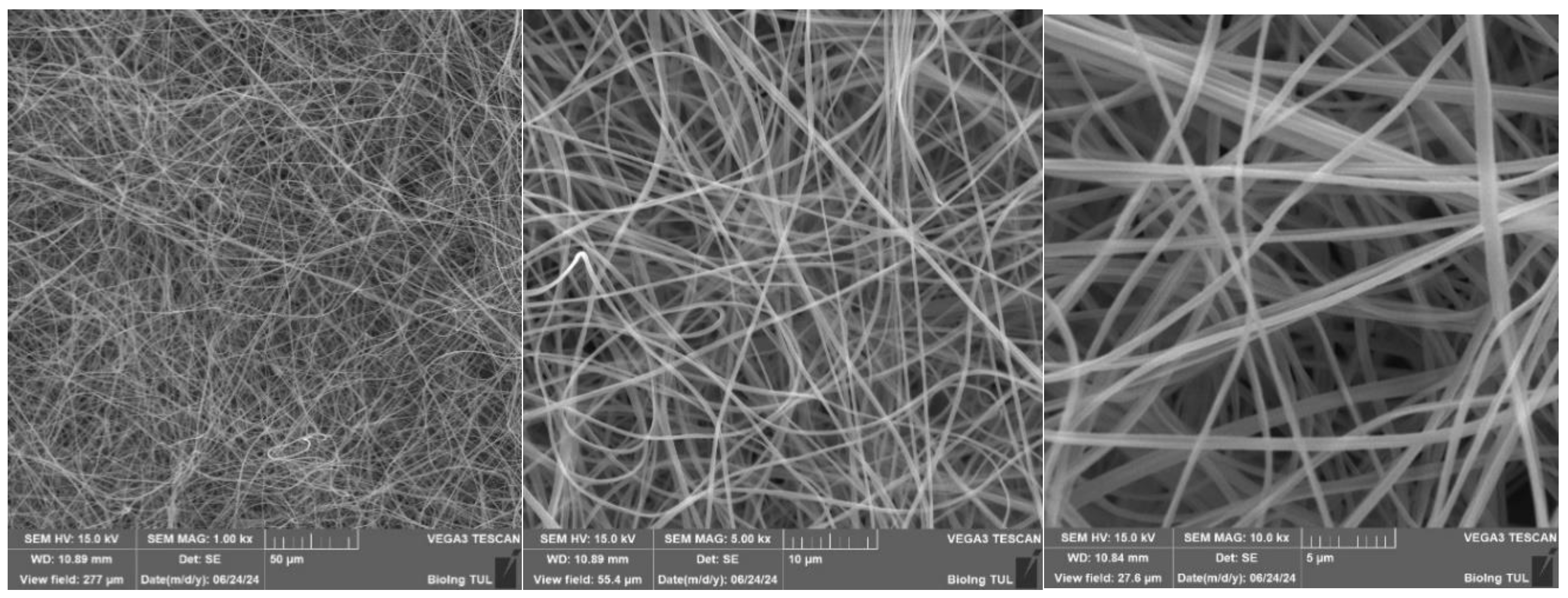 Preprints 148489 g030