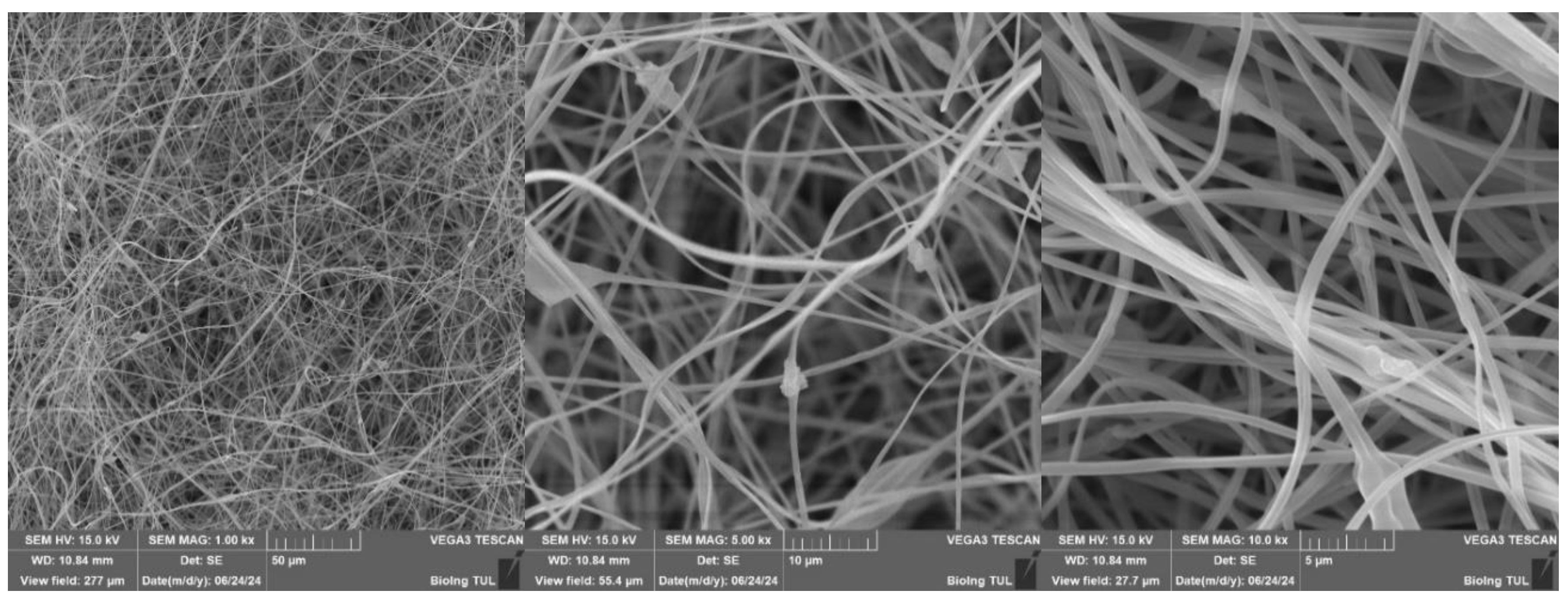 Preprints 148489 g031