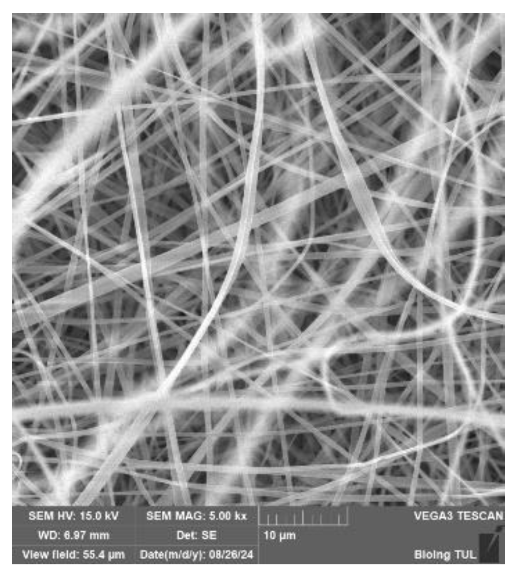 Preprints 148489 g032