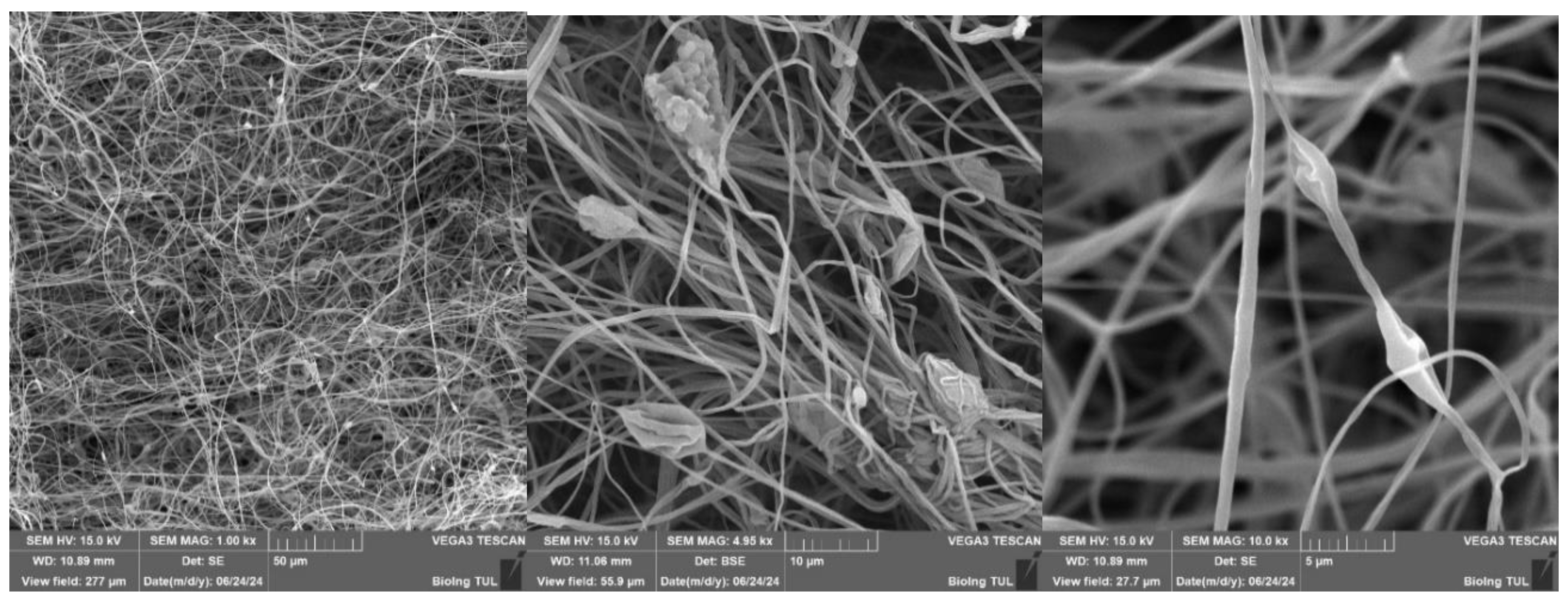 Preprints 148489 g033