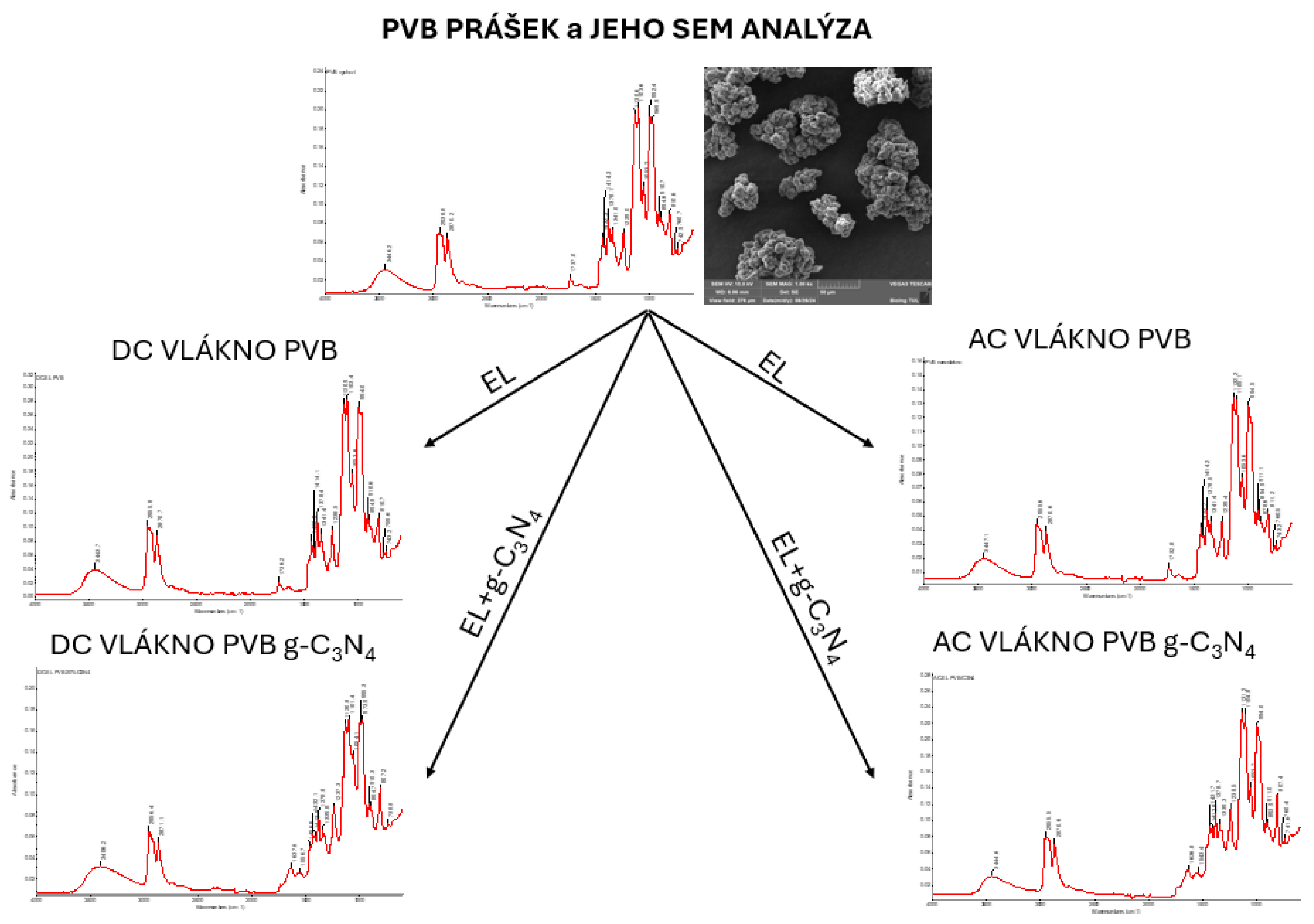 Preprints 148489 g0a2